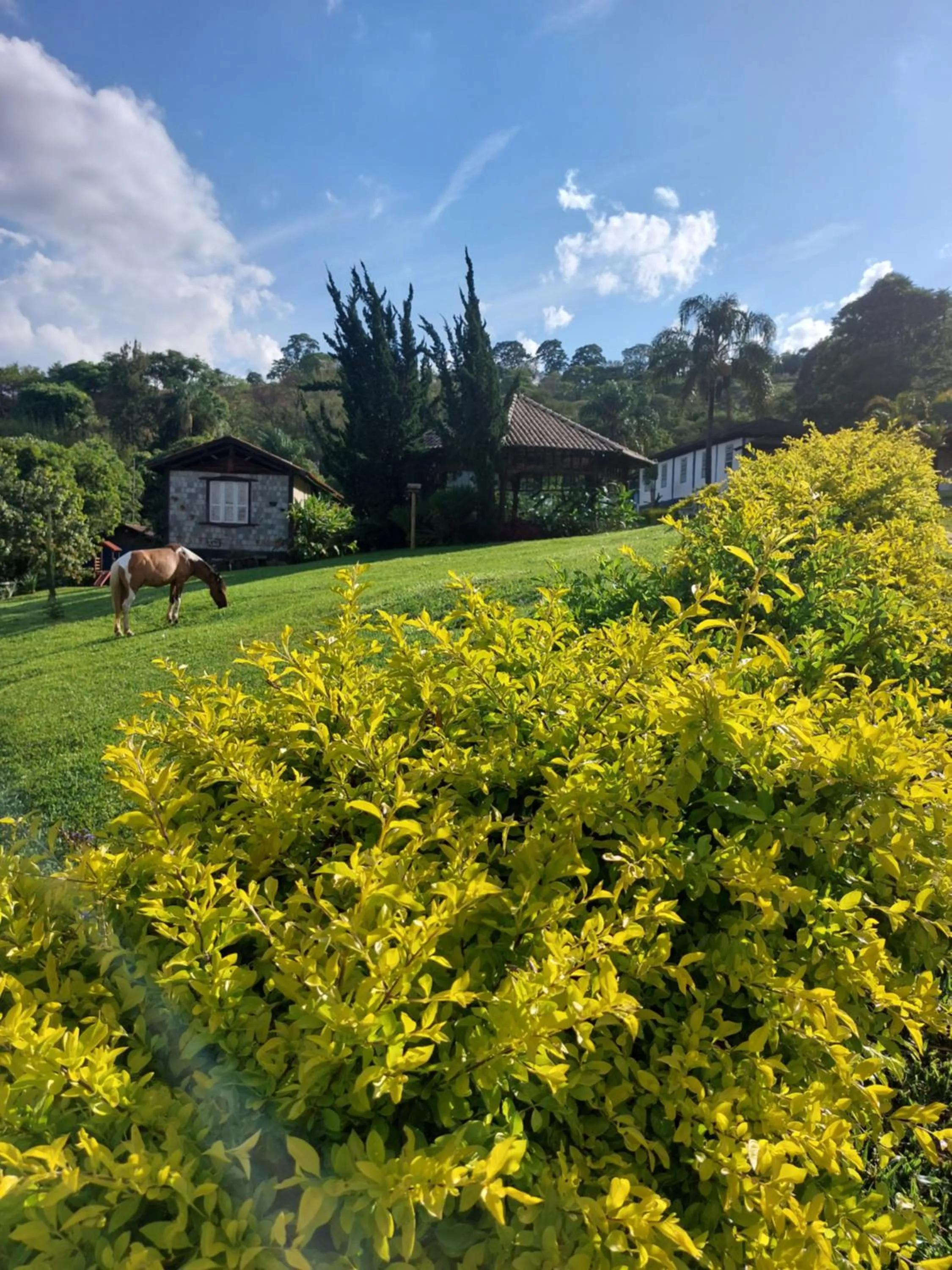 Pousada Campestre São Lourenço