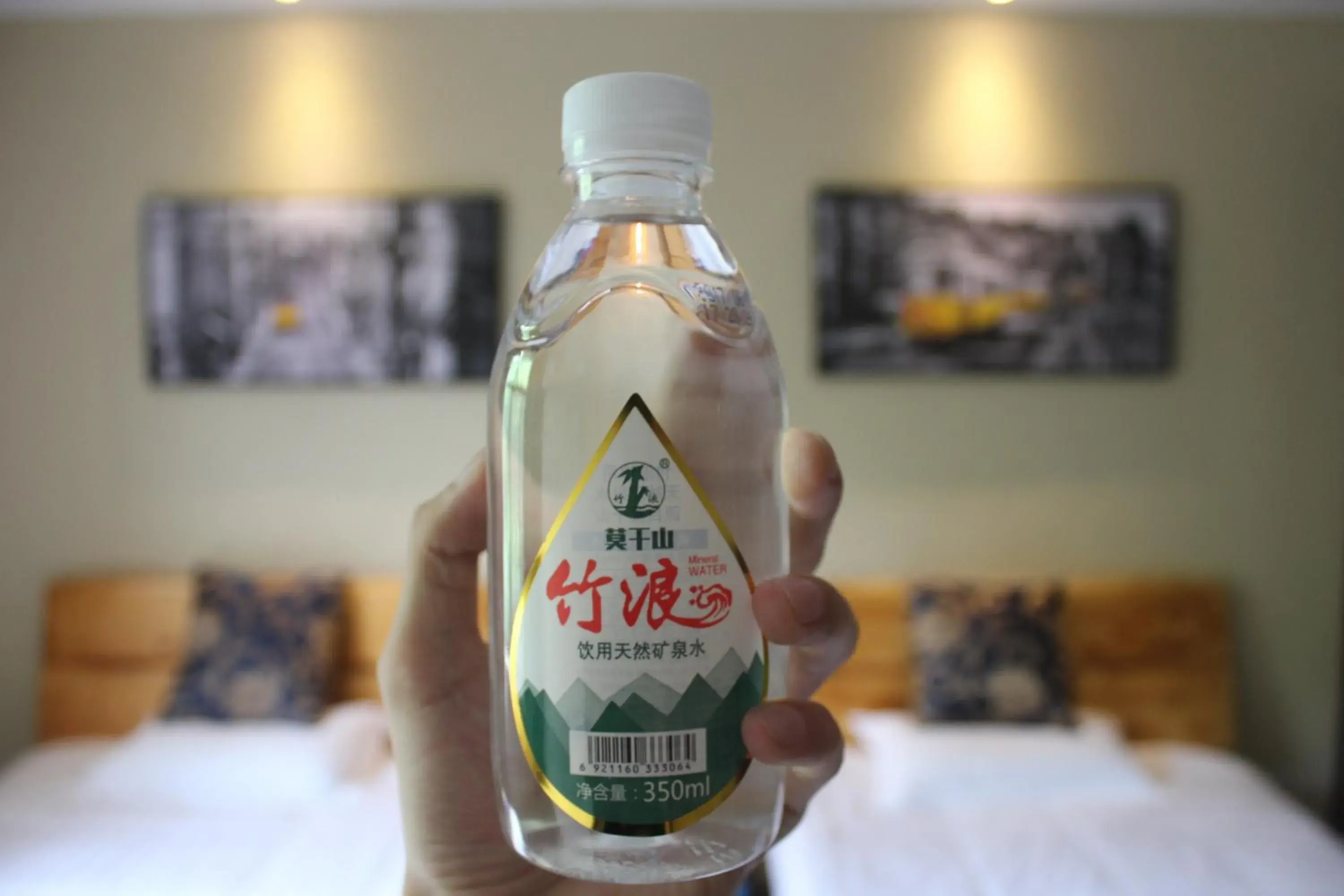 Twin Room in Moganshan Pinhouwu Hotel Twin Room in Moganshan Pinhouwu Hotel