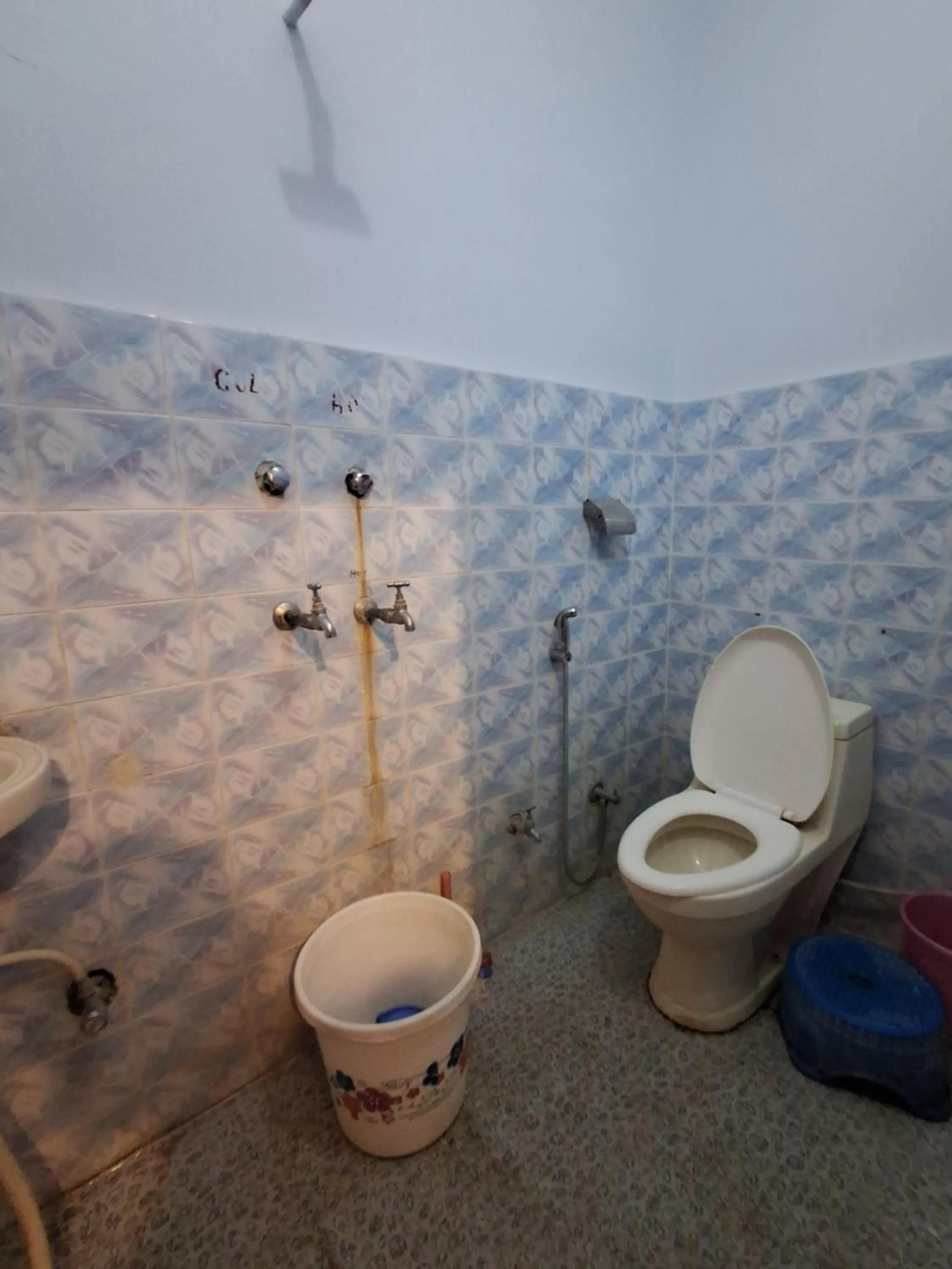 Toilet in Hotel Om Pushkar