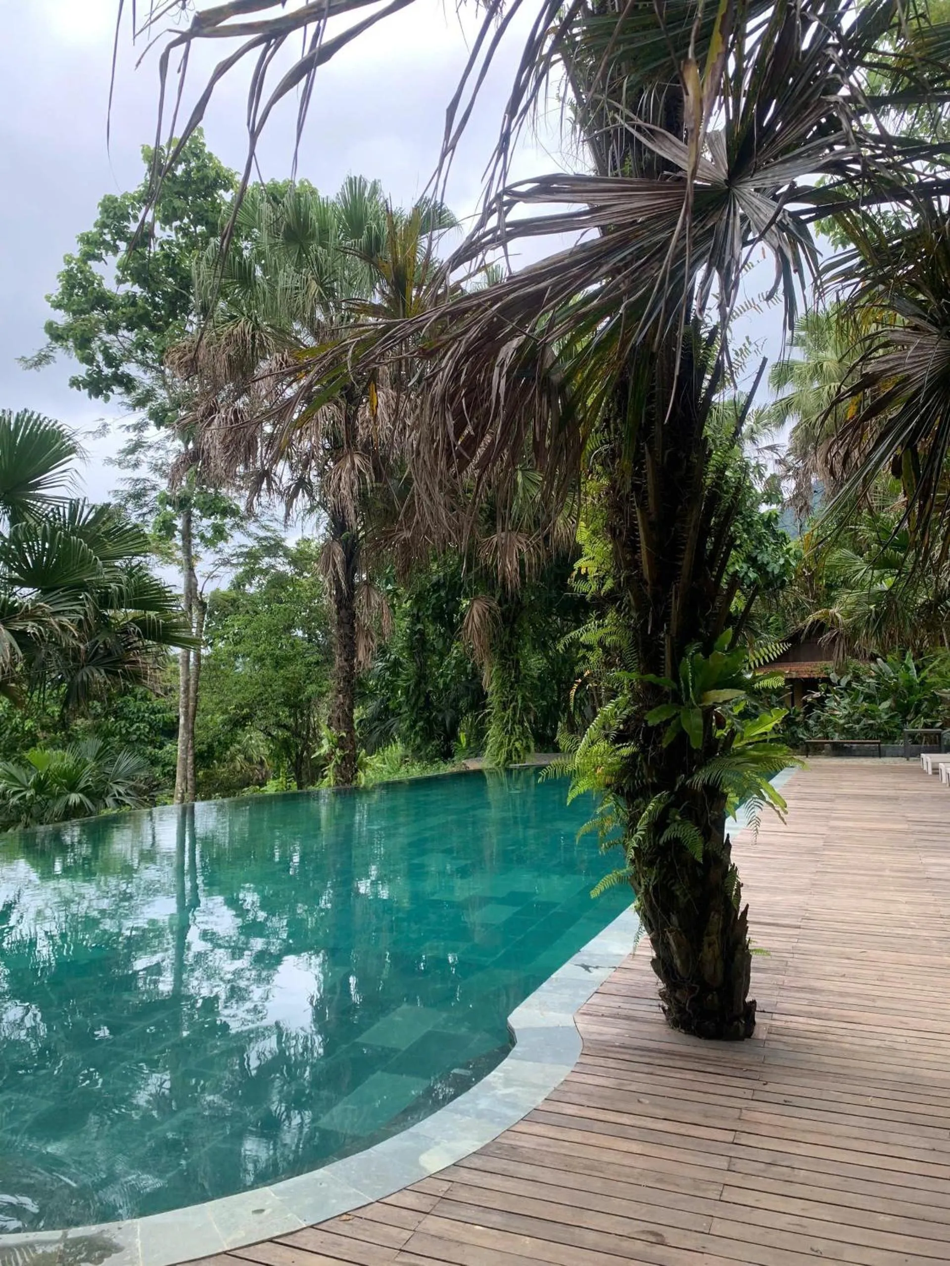 Garden in Cọ Retreat Da Bac