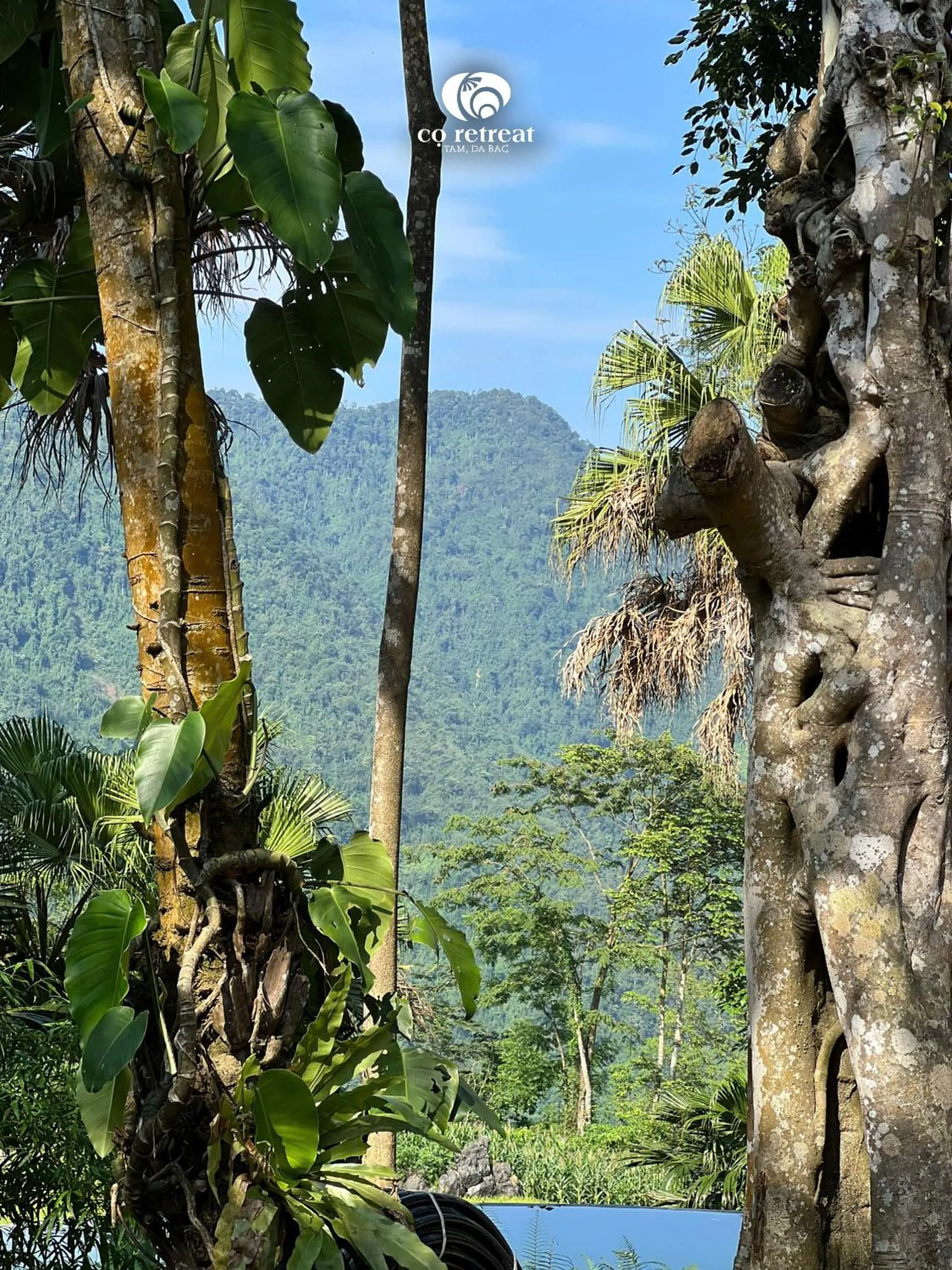 Natural landscape in Cọ Retreat Da Bac