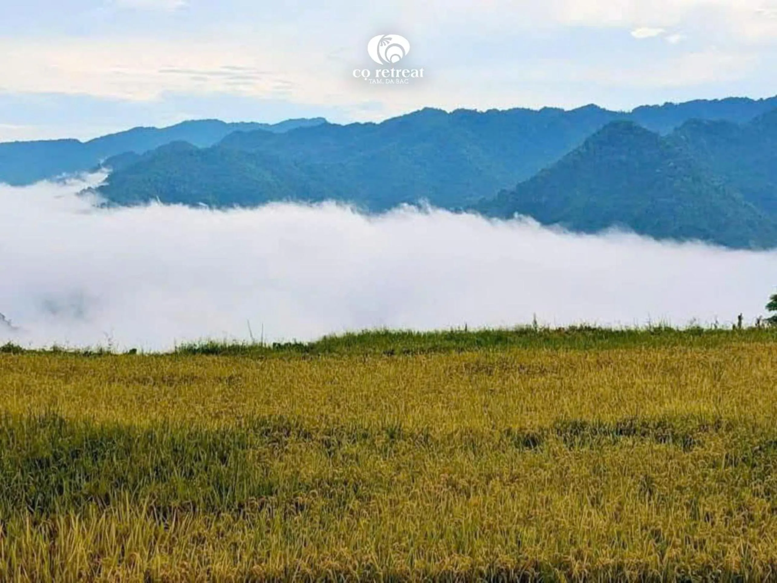 Natural landscape in Cọ Retreat Da Bac