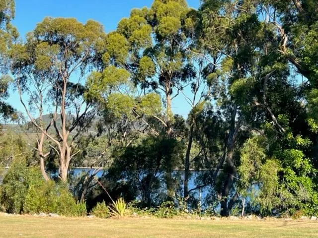 Natural landscape in Glenaire Apartments at Frazer St