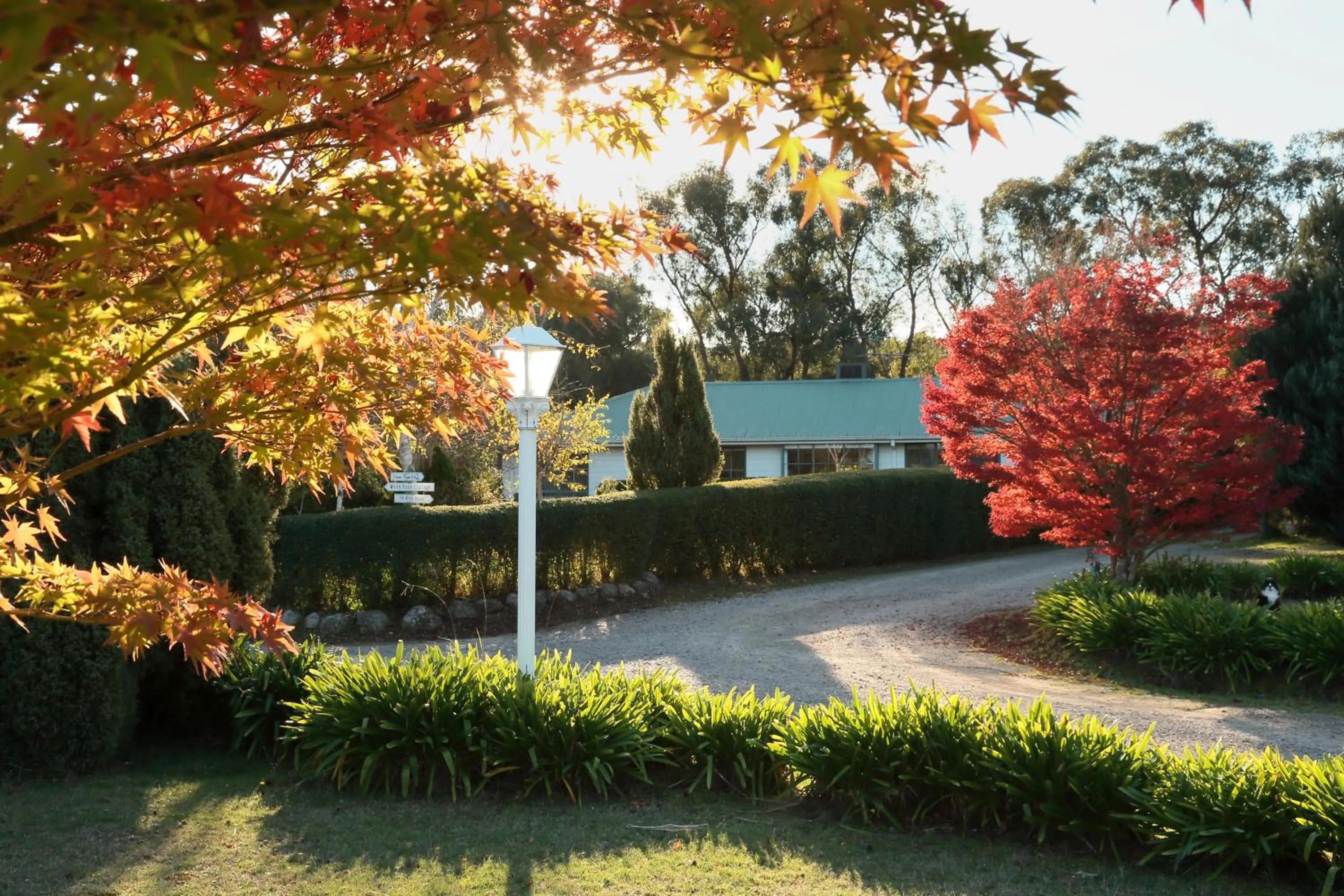 Home Farm Healesville