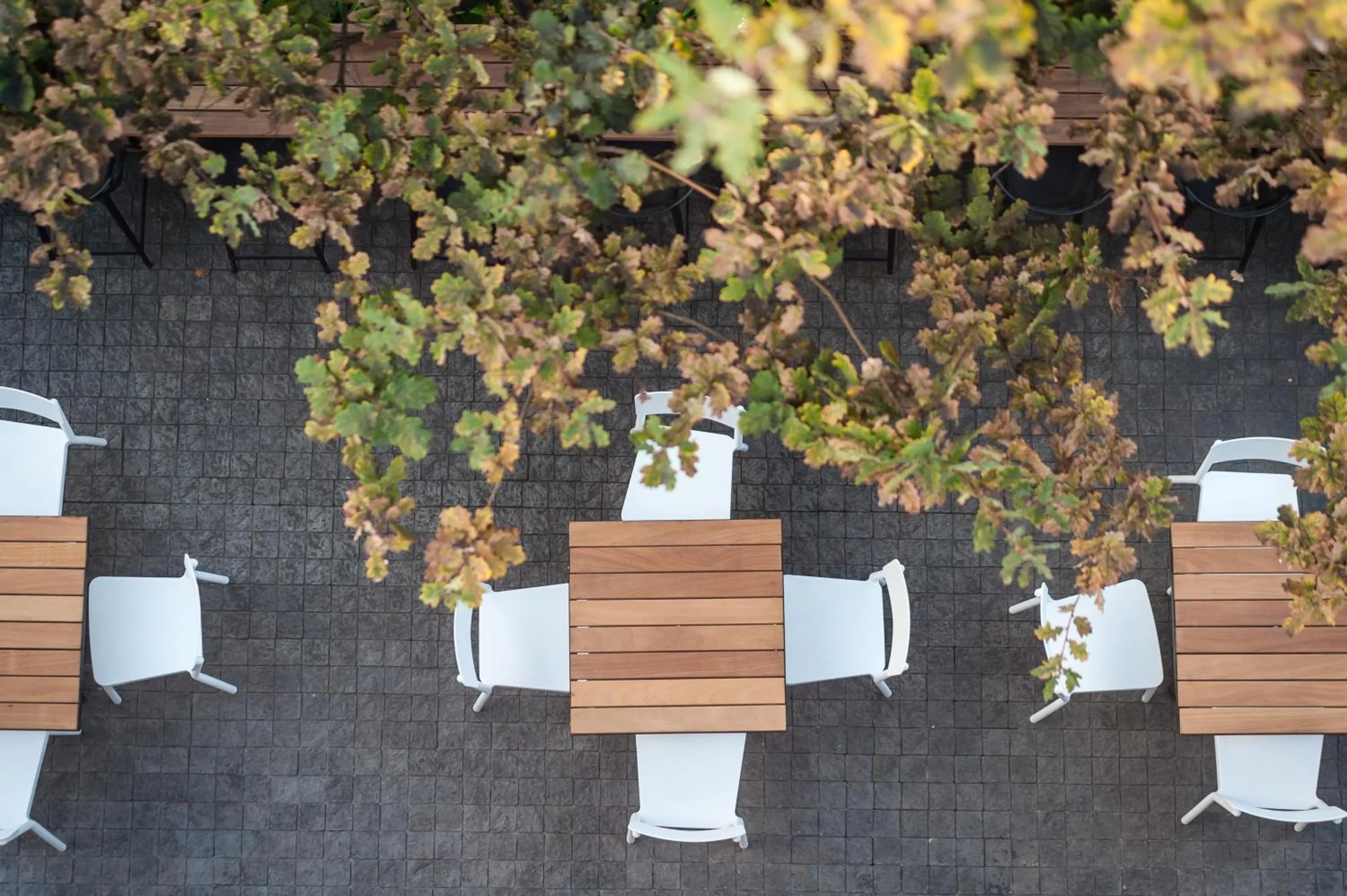 Patio in 107 Dorpstraat Boutique Hotel