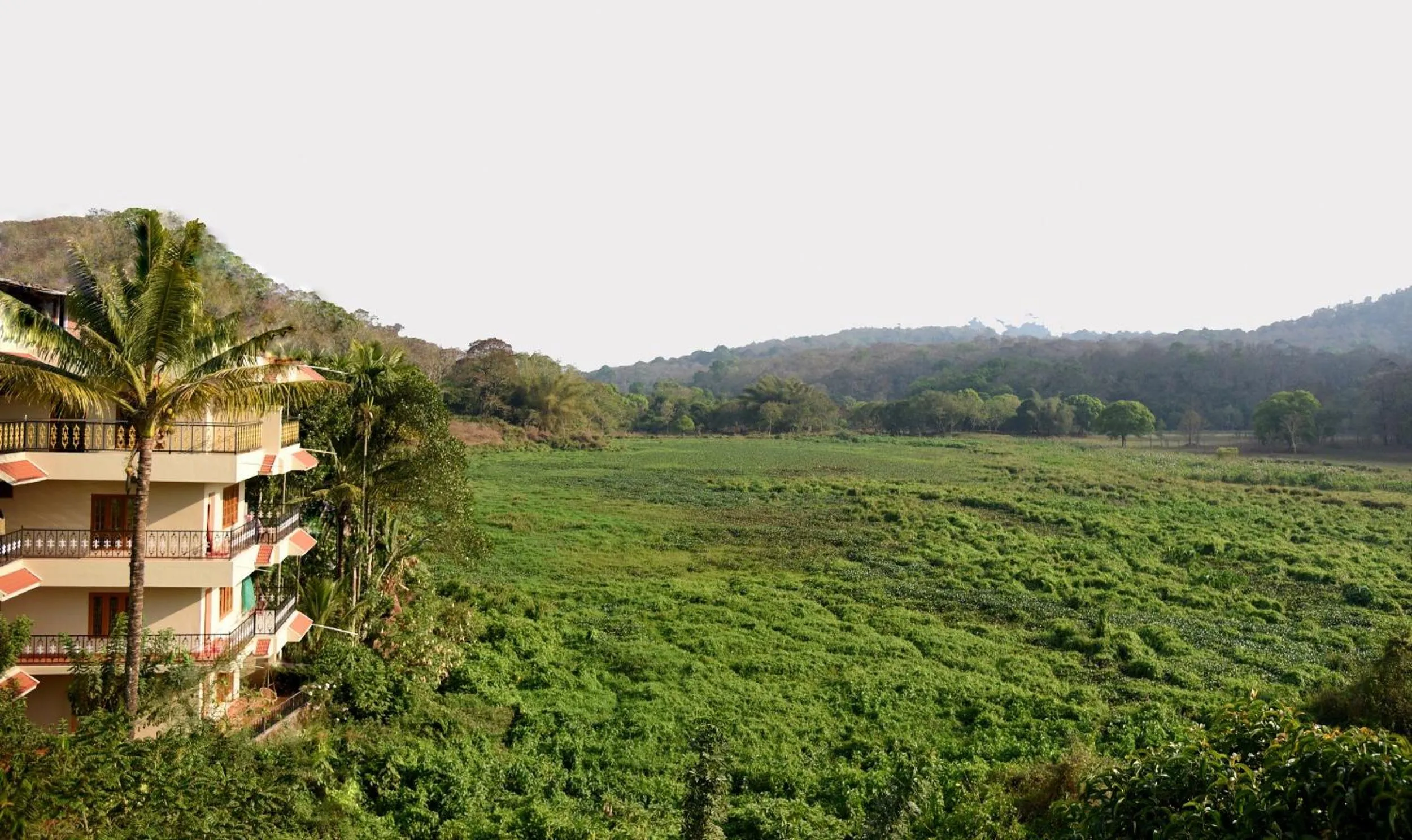 Bird's eye view in Jungle Palace Homestay