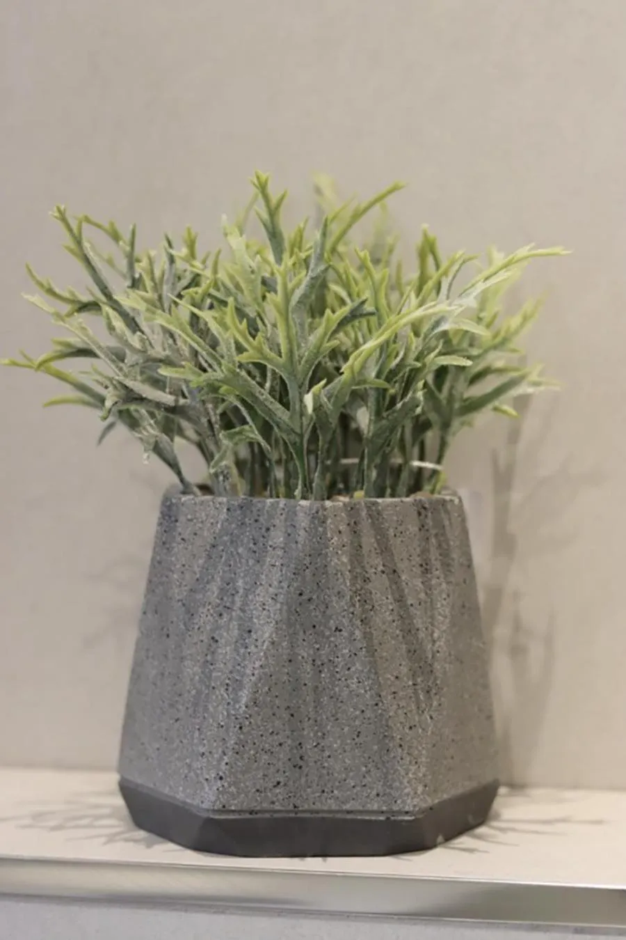 Other in The Cycad Lodge & Chalets