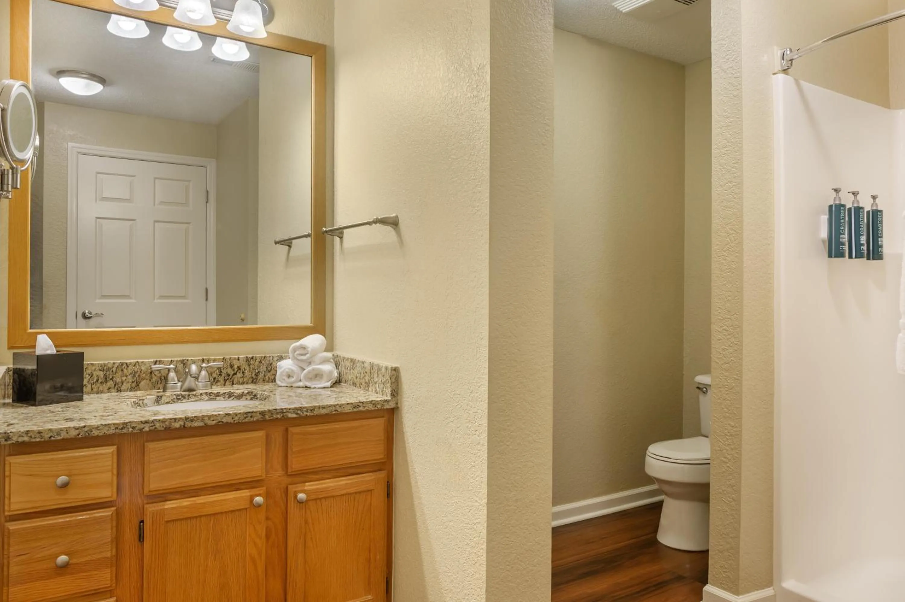 Toilet in Hilton Vacation Club Laurel Crest Pigeon Forge