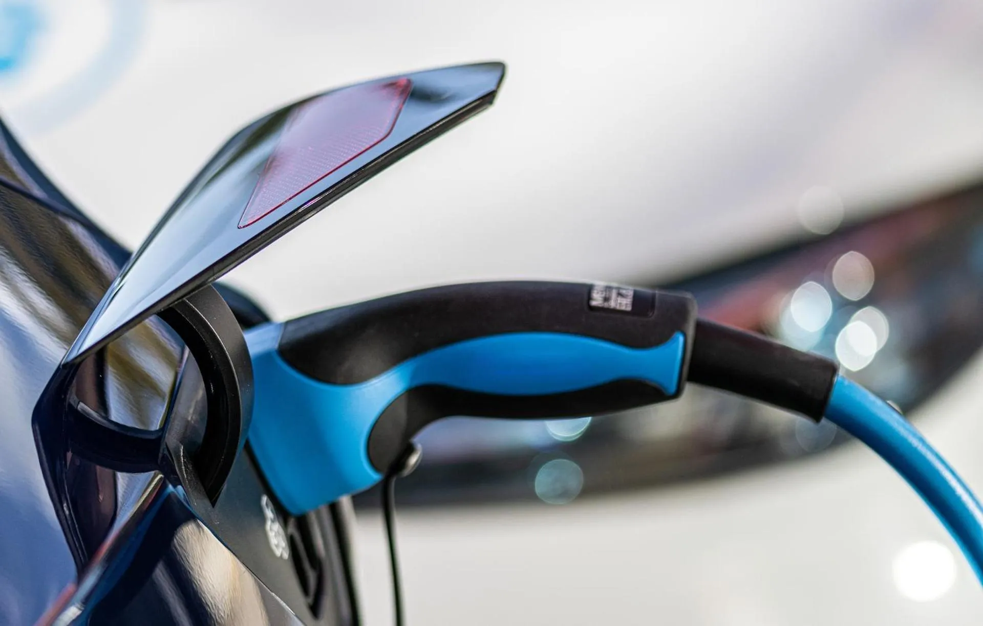 Belvedere Rent Rooms