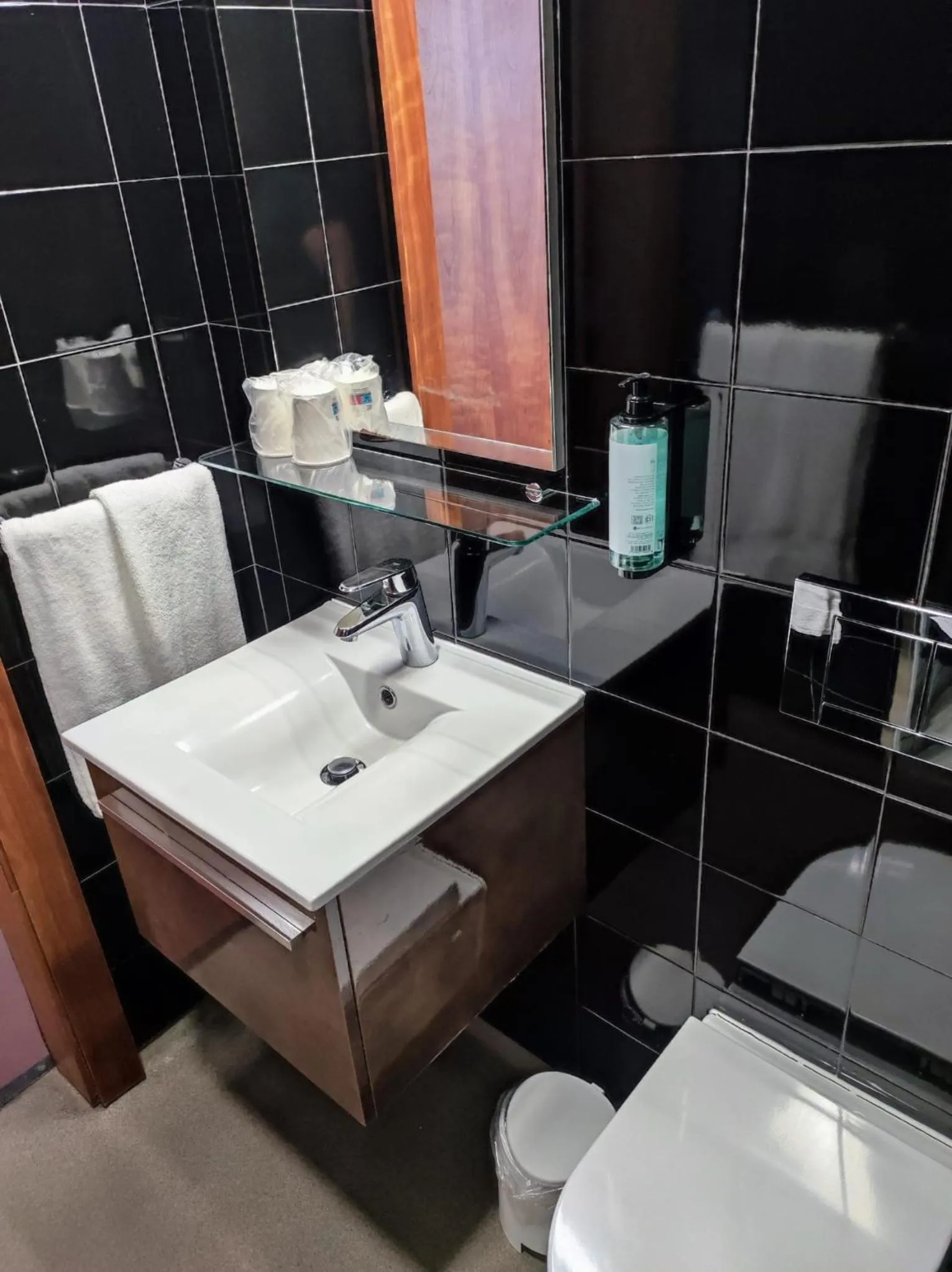 Toilet in Room & Go by Lince