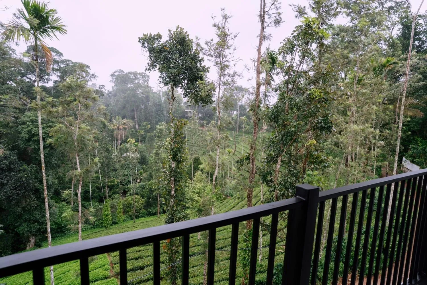 Spring in The Feel Munnar Resort