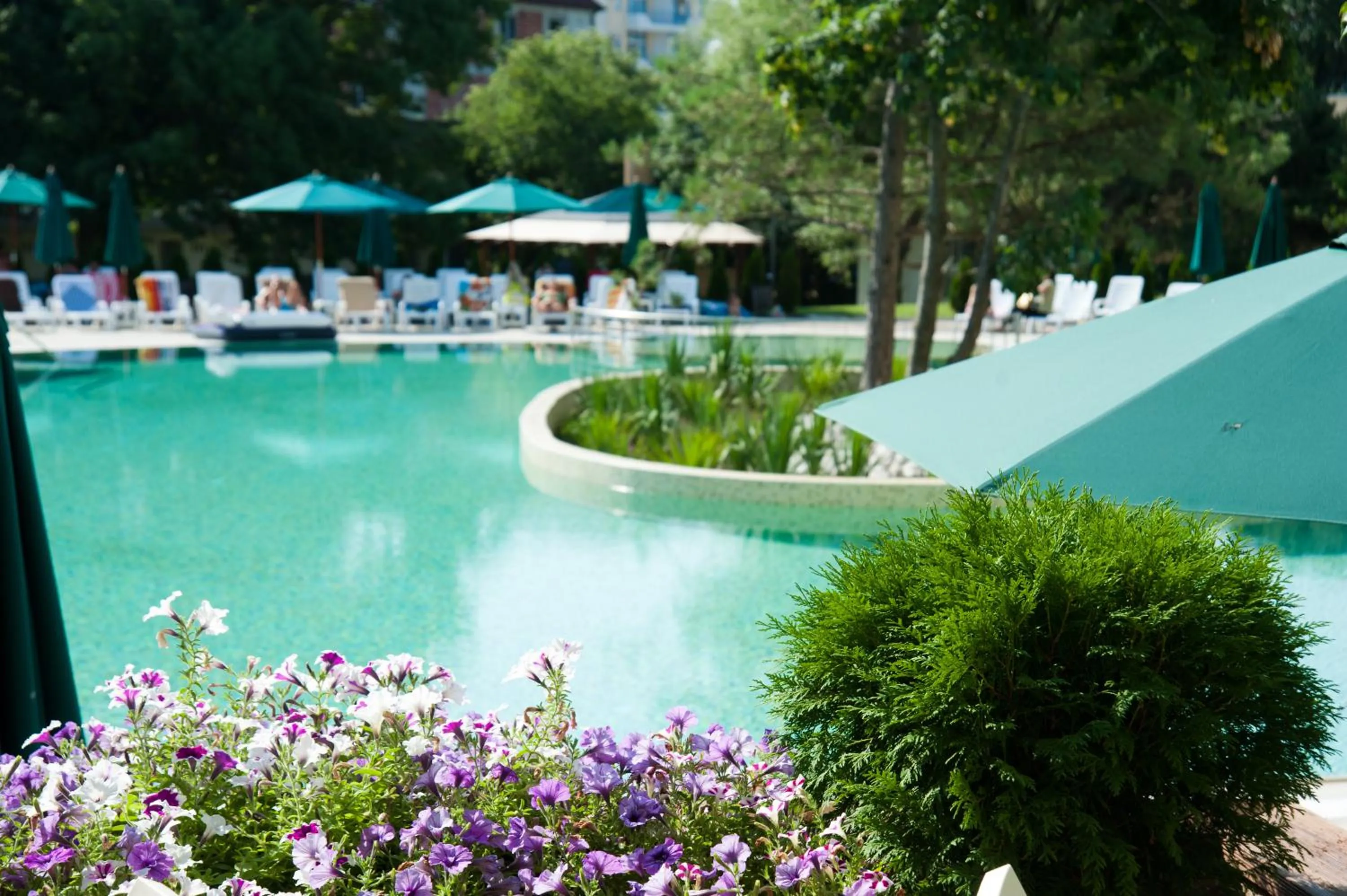 Natural landscape in Jeravi Club Hotel - All Inclusive