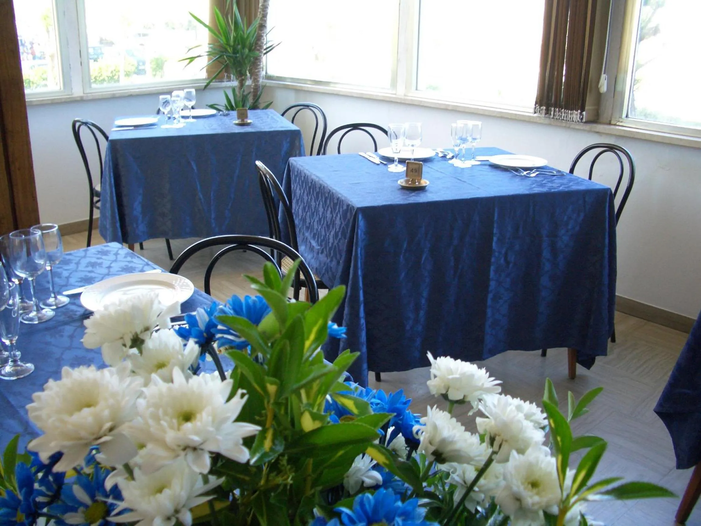 Restaurant/places to eat in Hotel Bristol - Koolibry Hotels