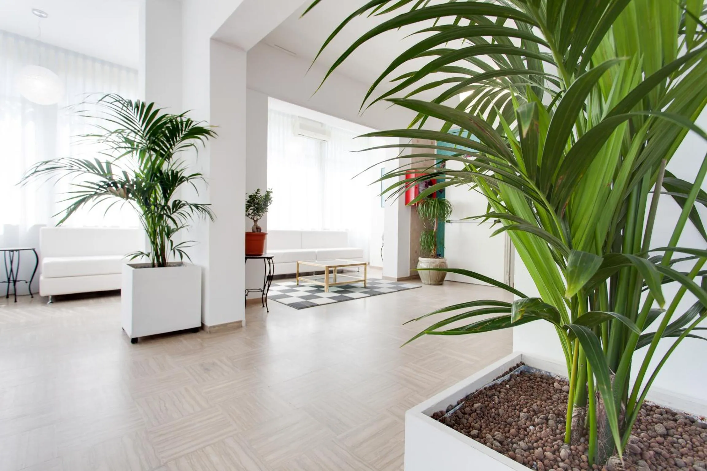 Communal lounge/ TV room in Hotel Bristol - Koolibry Hotels