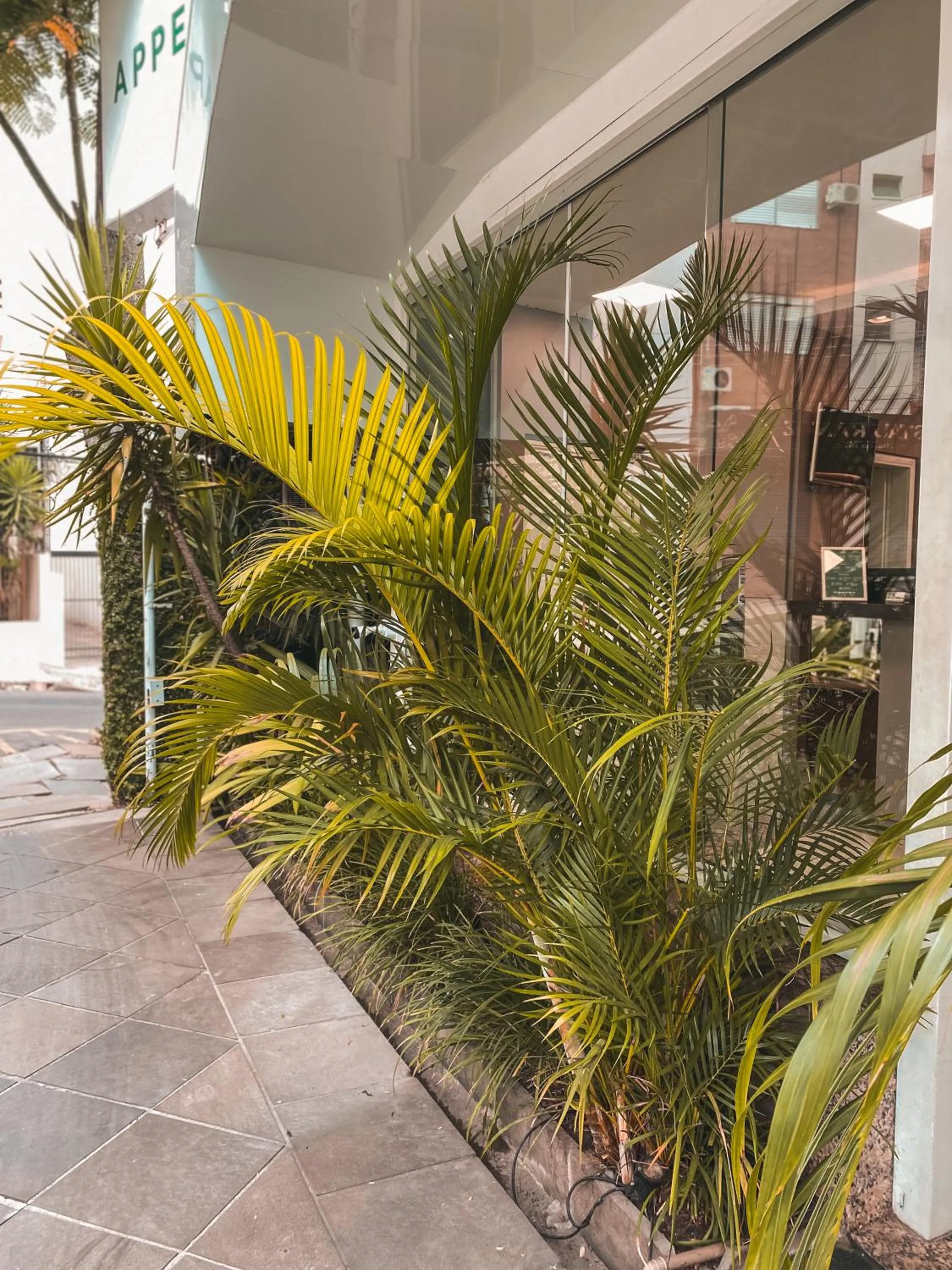 Garden in Hotel Appel