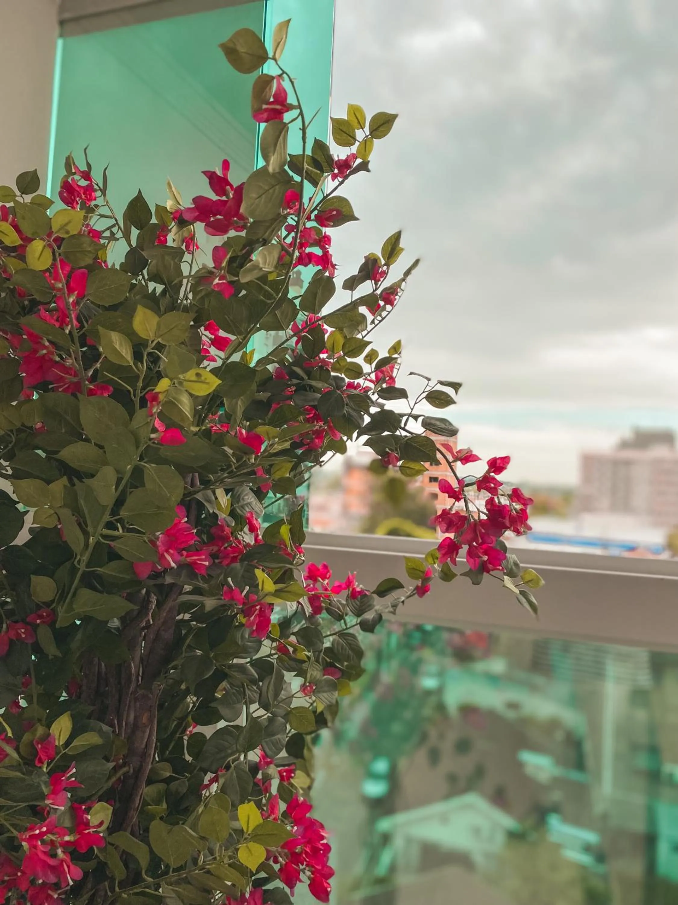 Garden in Hotel Appel