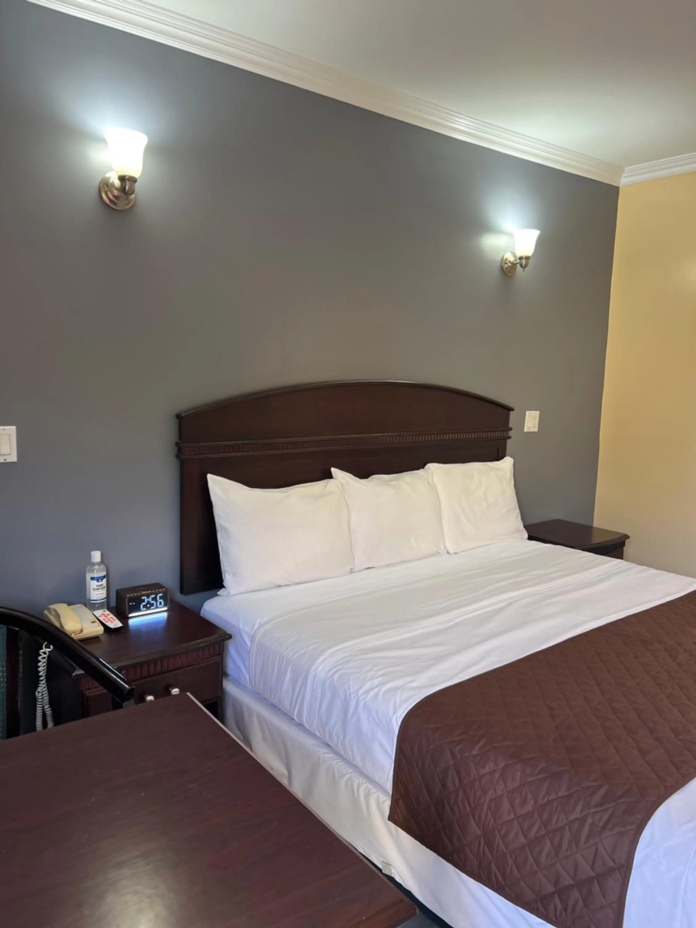 Carlton Motor Lodge