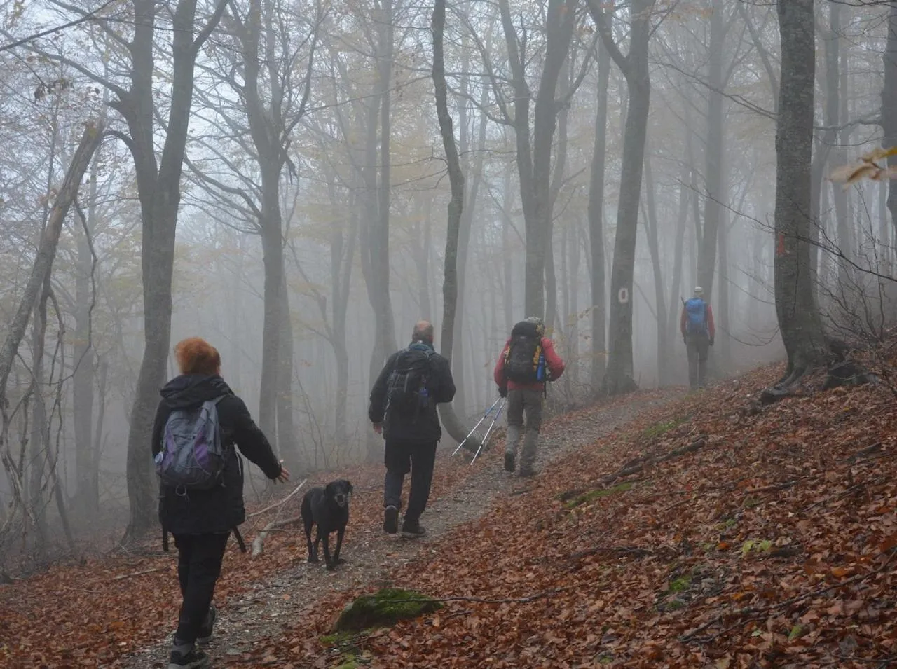 Hiking in 12 Months Resort & Spa