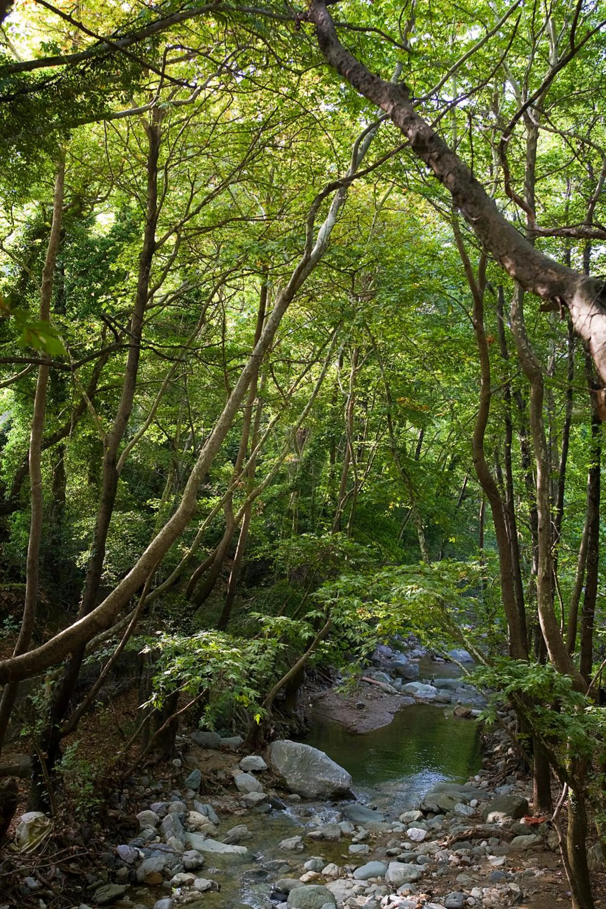 Nearby landmark in 12 Months Resort & Spa