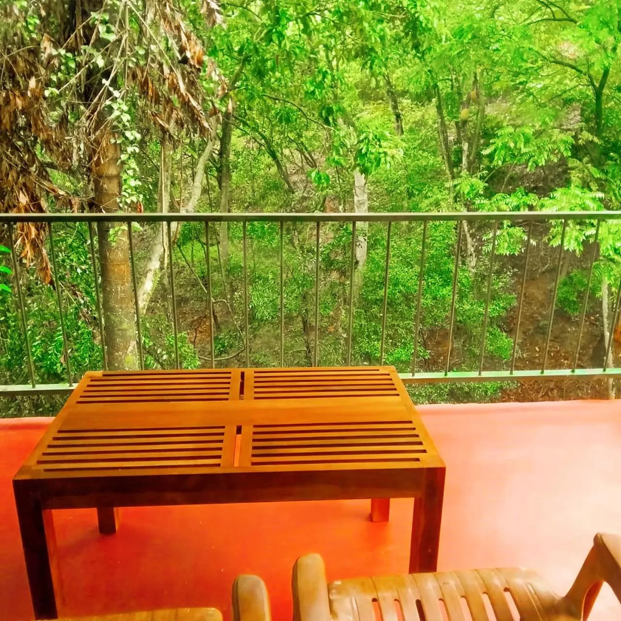 Natural landscape in Ella Green Cottages