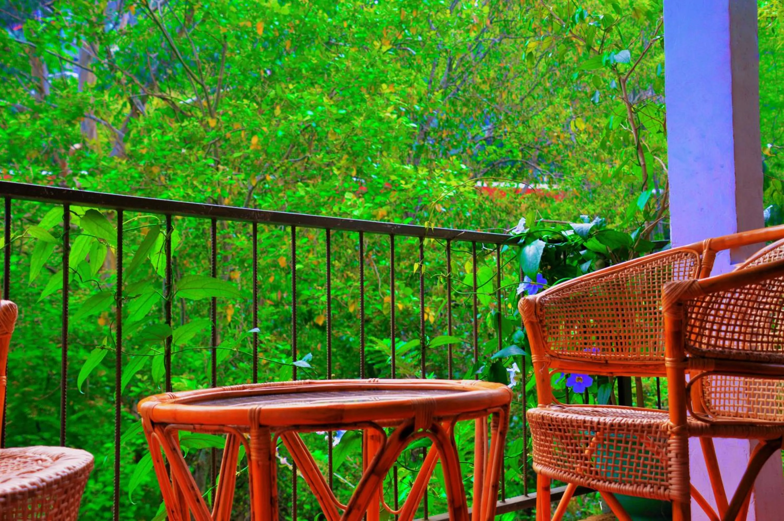 Balcony/Terrace in Ella Green Cottages