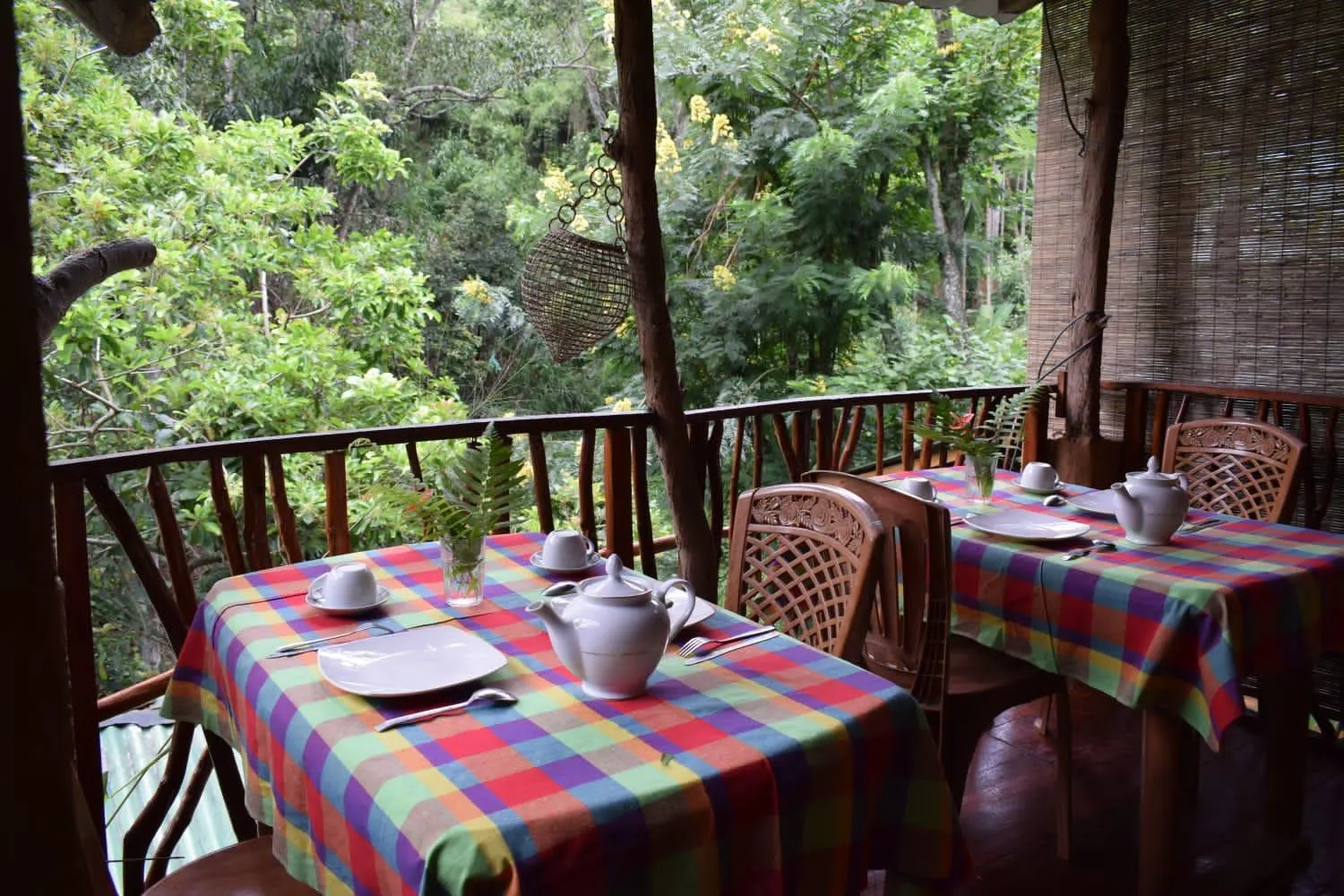 Restaurant/places to eat in Ella Green Cottages