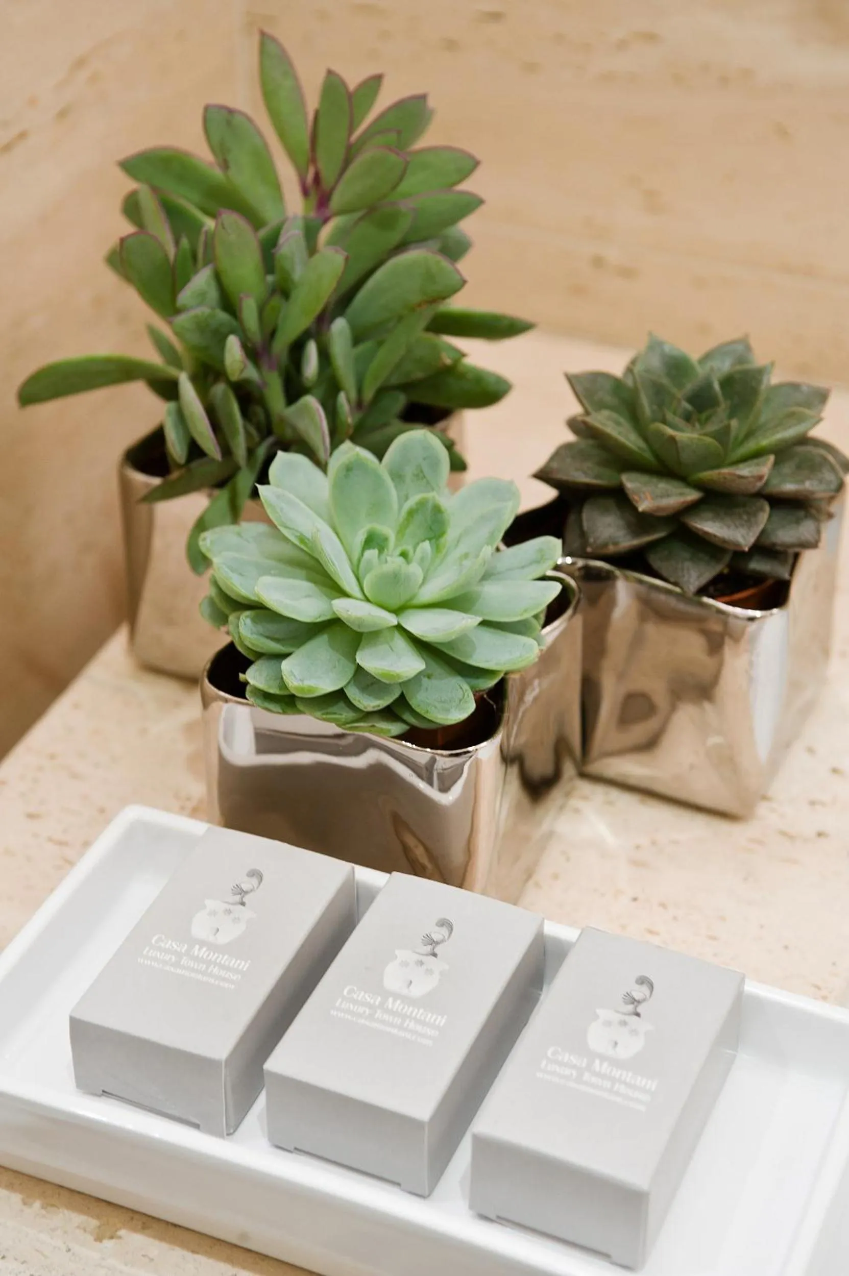 Decorative detail in Casa Montani