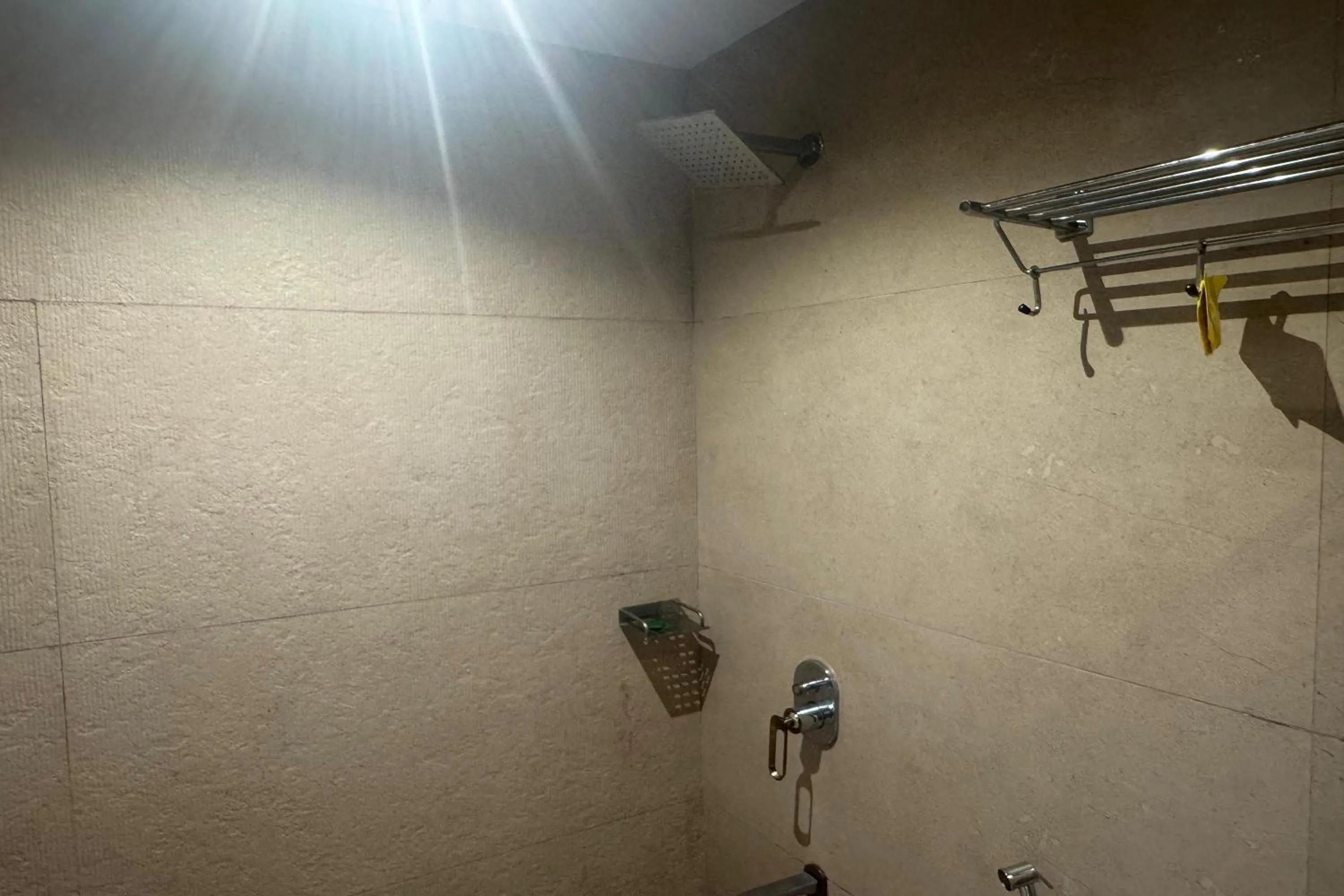 Shower in Hotel Royal BKC