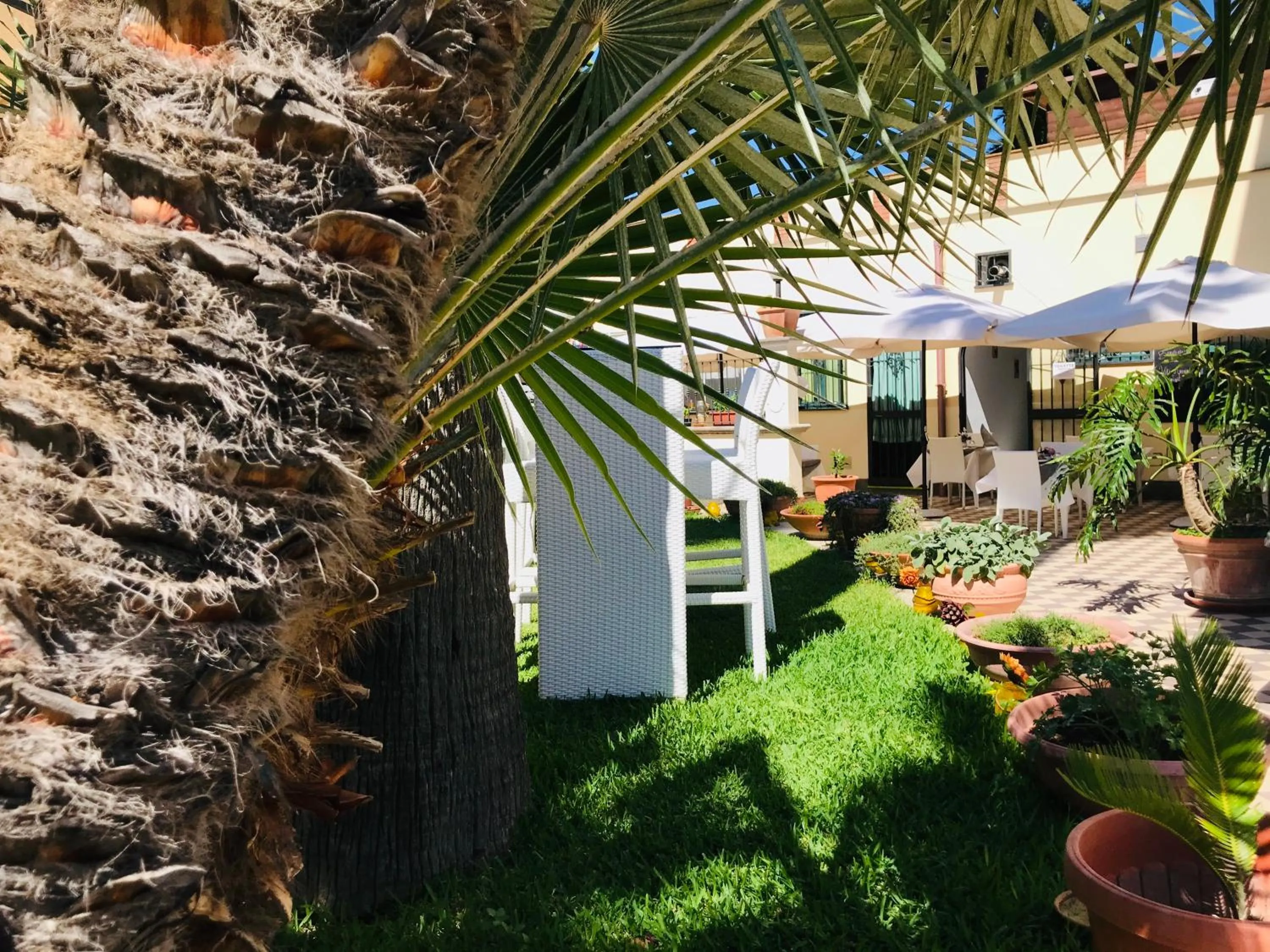 Garden in Villino Gregoraci Relais