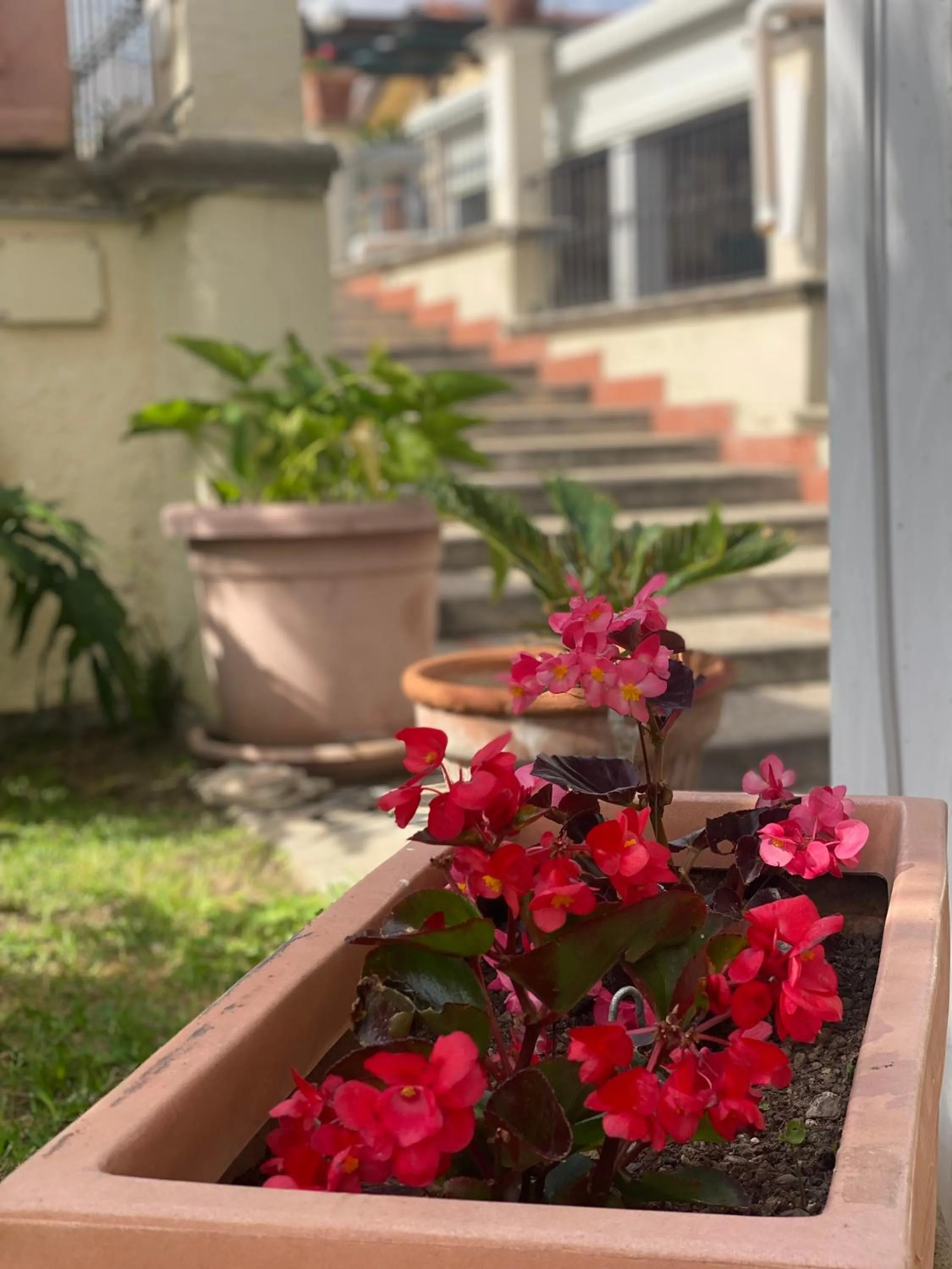 Garden in Villino Gregoraci Relais