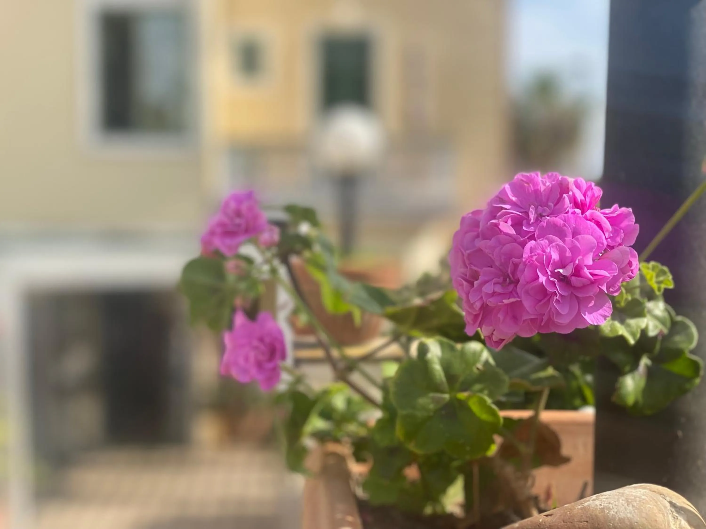 Garden in Villino Gregoraci Relais