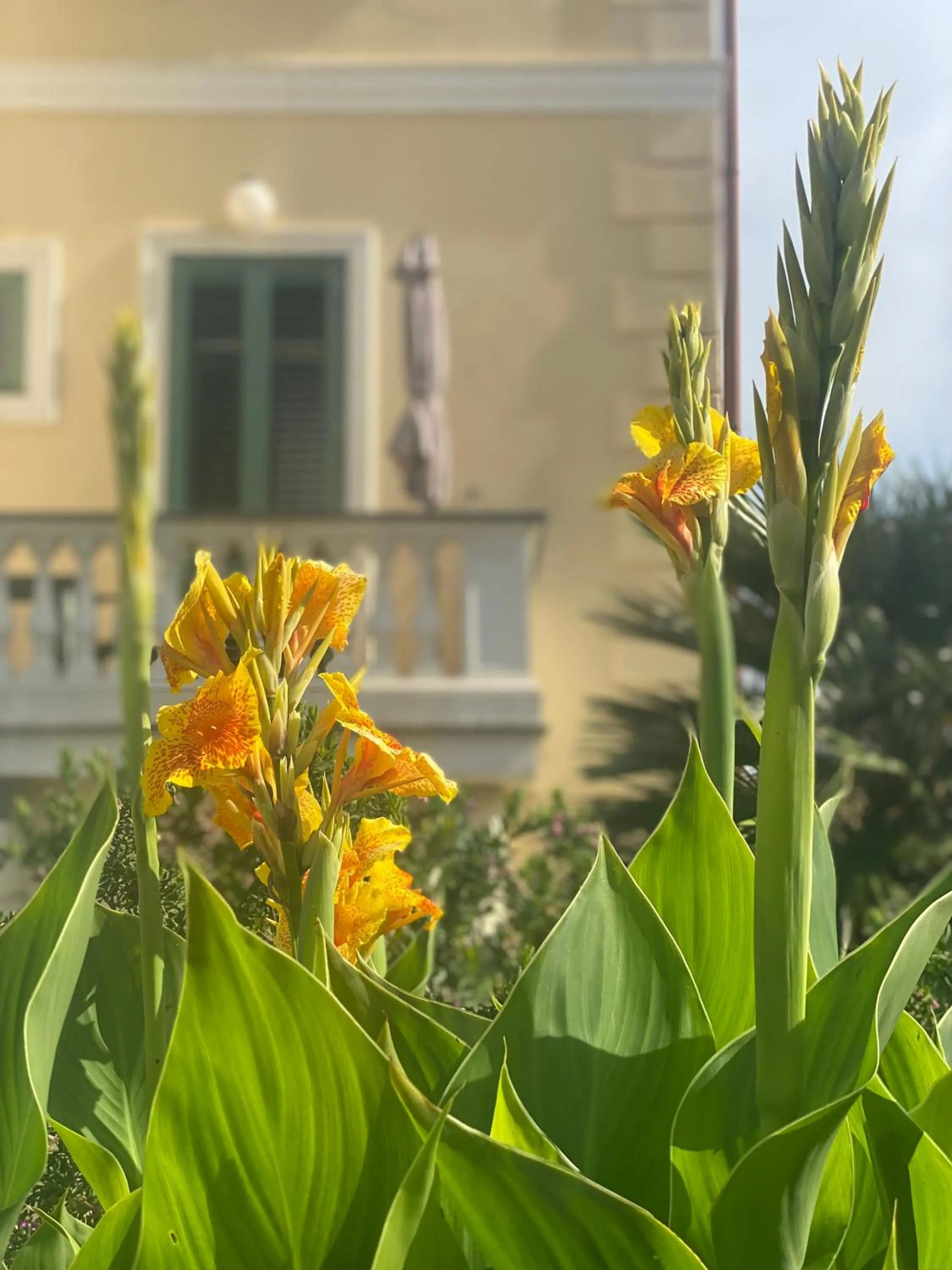 Garden in Villino Gregoraci Relais