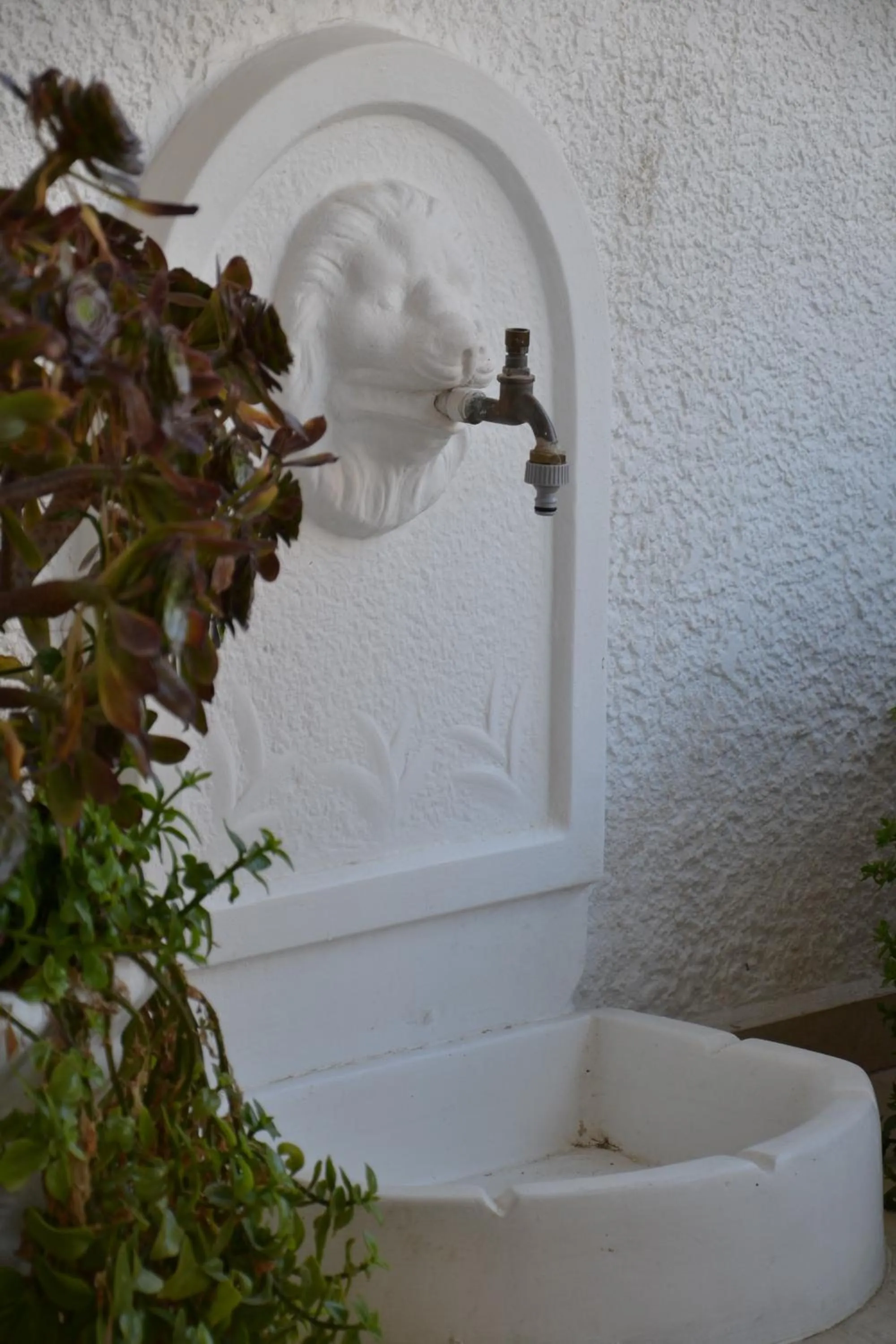 Garden in Oceanis Hotel