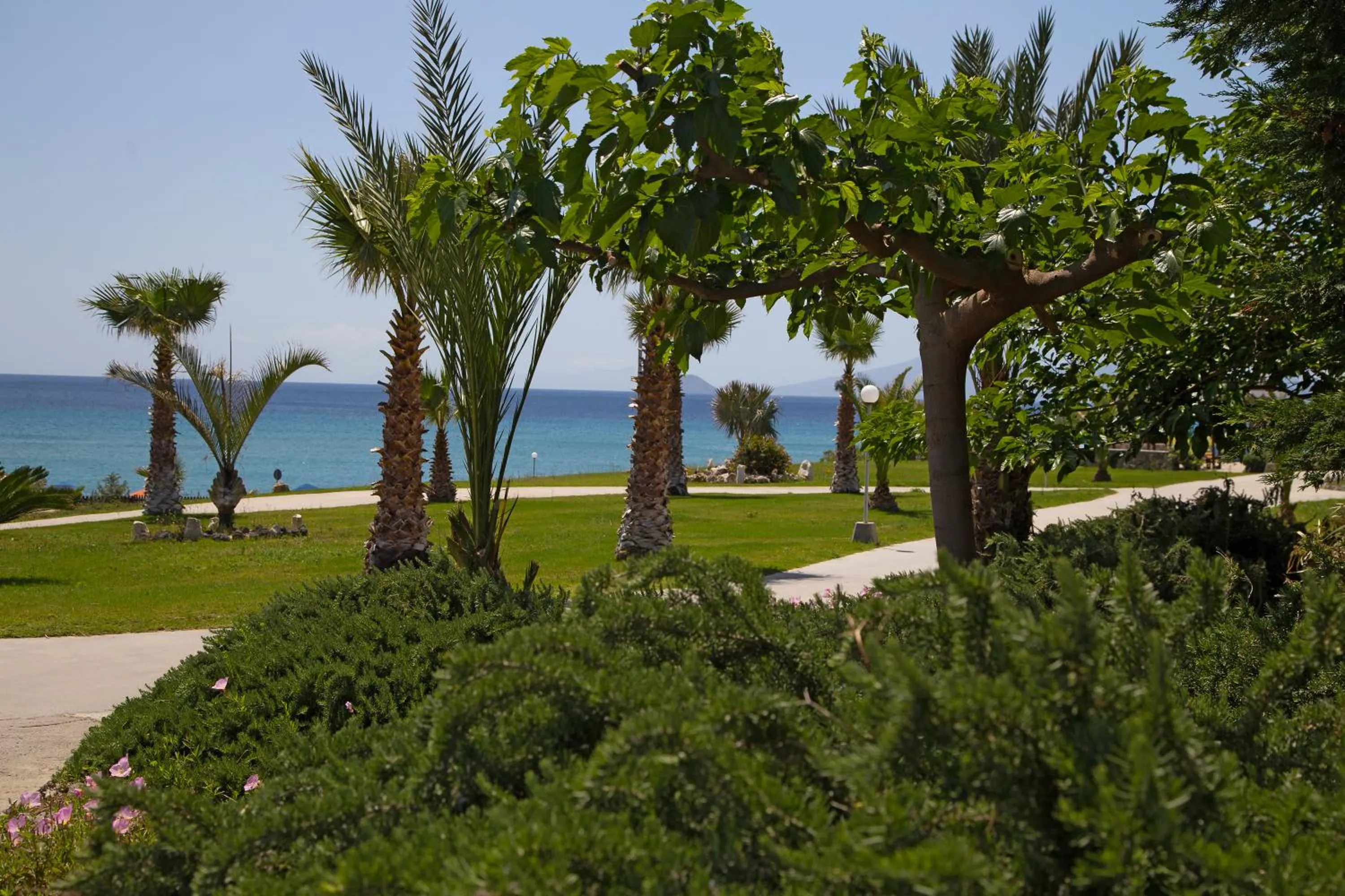 Garden in Grand Blue Beach Hotel