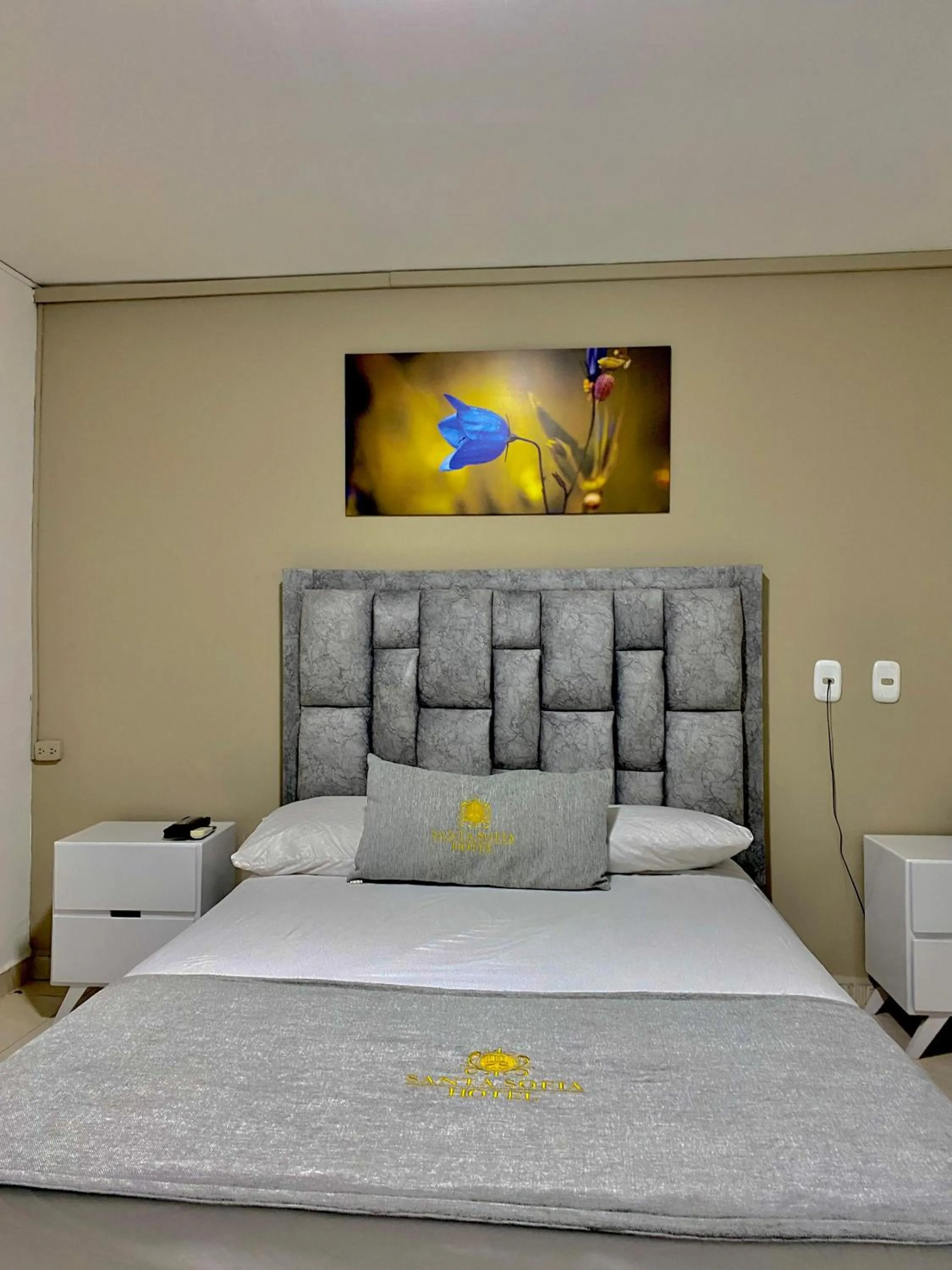 Standard Single Room - single occupancy in Hotel Santa Sofia