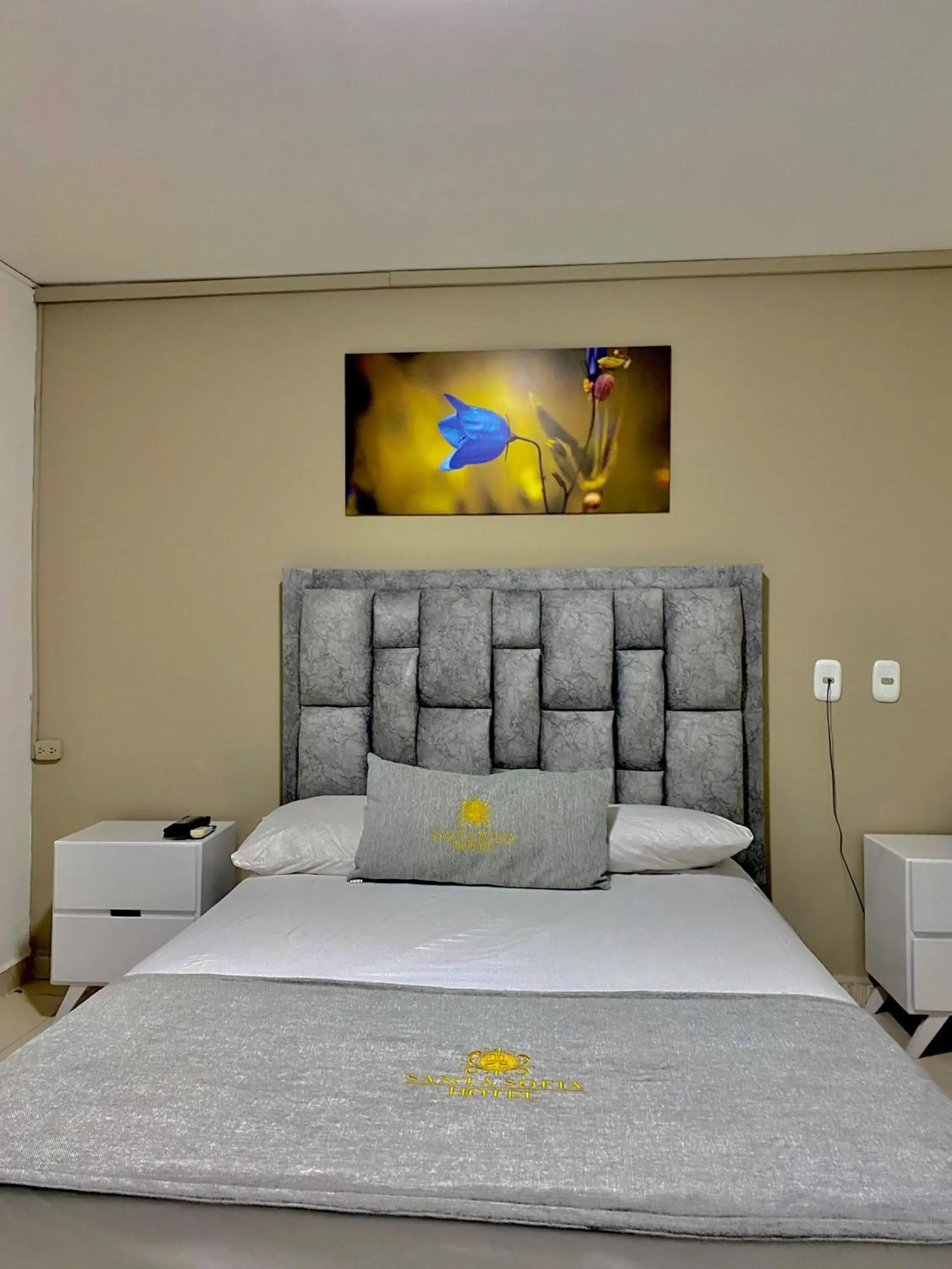 Standard Single Room - single occupancy in Hotel Santa Sofia Standard Single Room - single occupancy in Hotel Santa Sofia