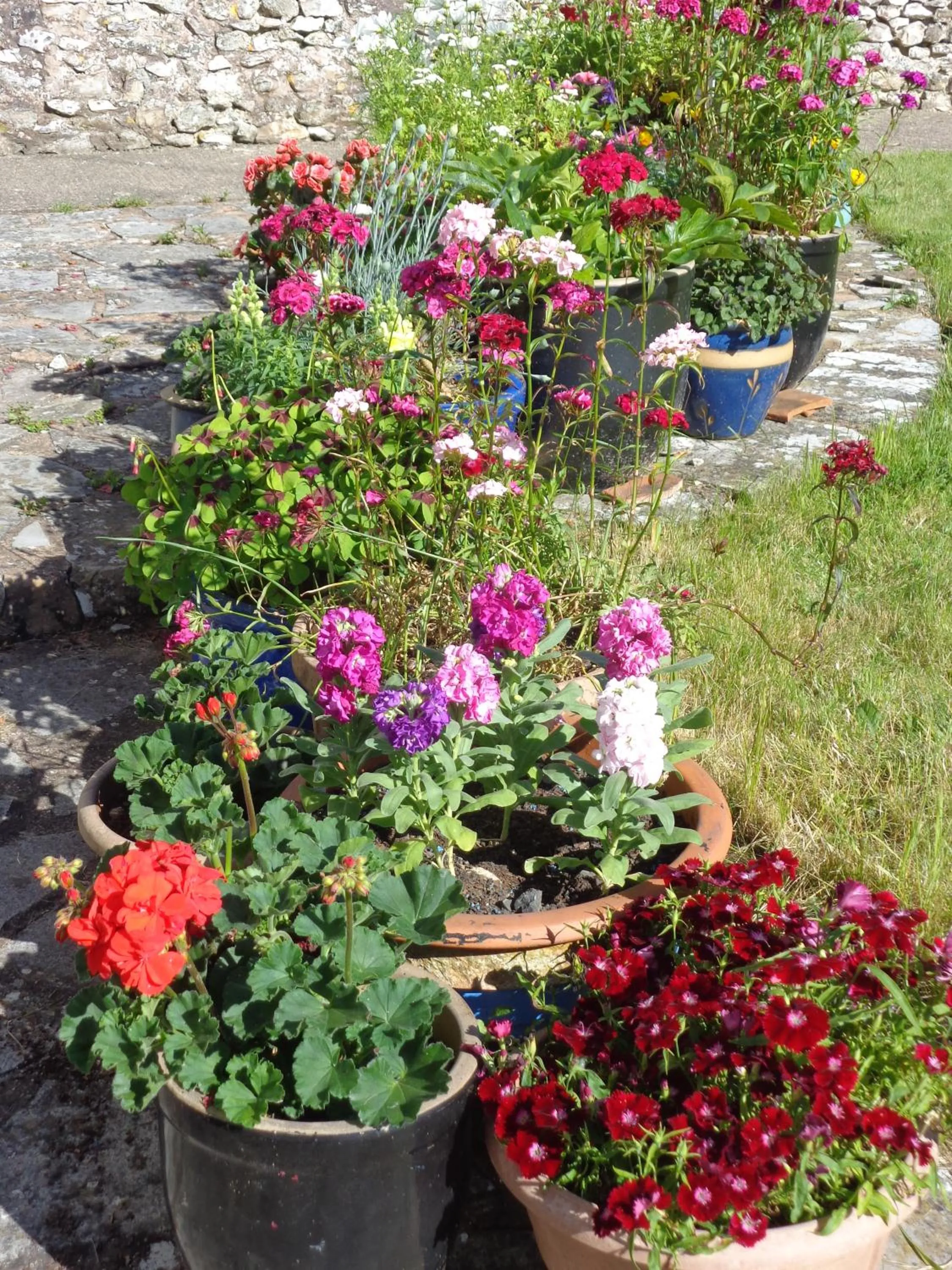 Summer in Lodge House B&B