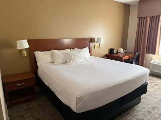 Bed in Comfort Inn Pikeville Bed in Comfort Inn Pikeville