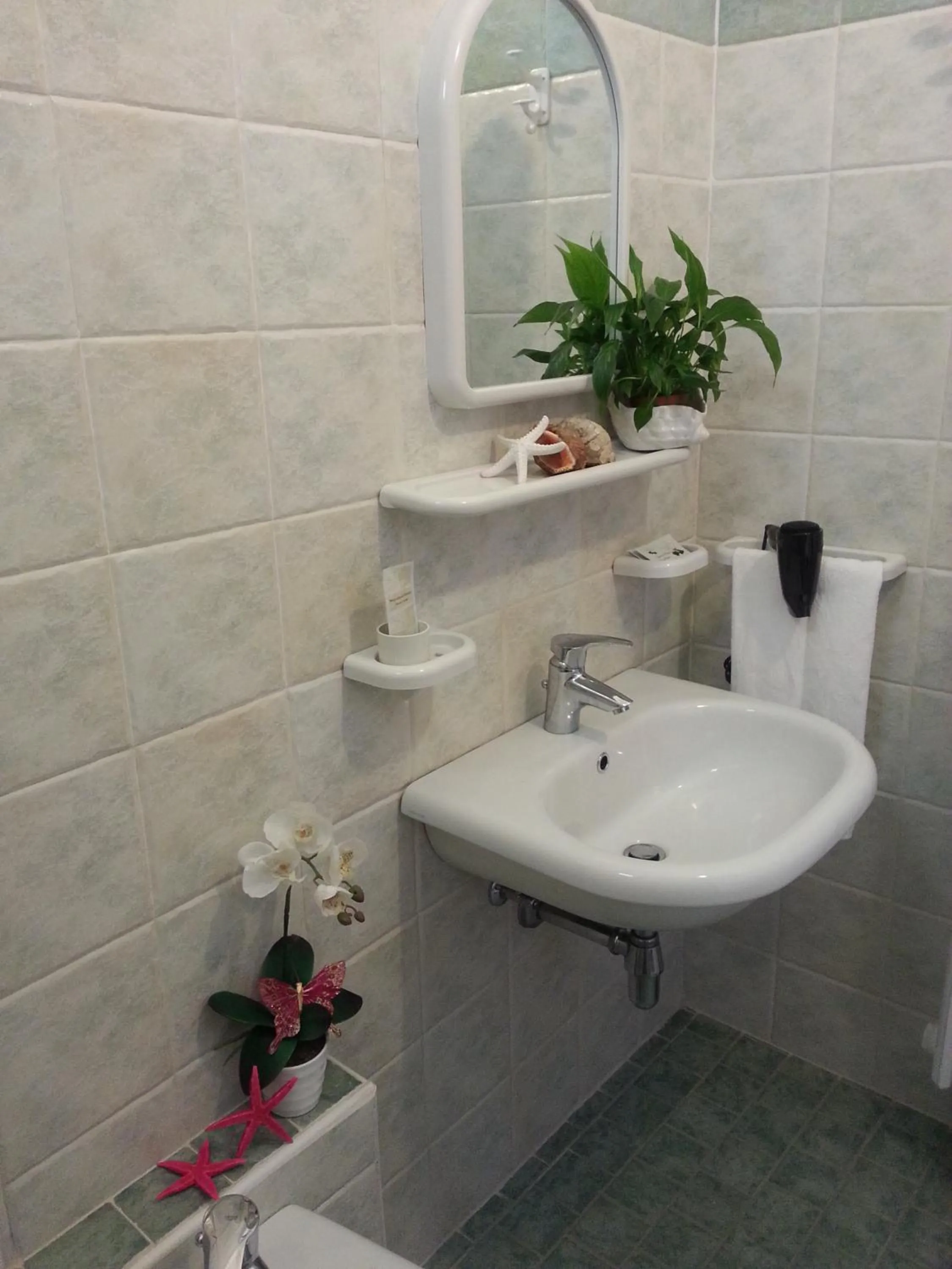 Bathroom in Hotel Maxim