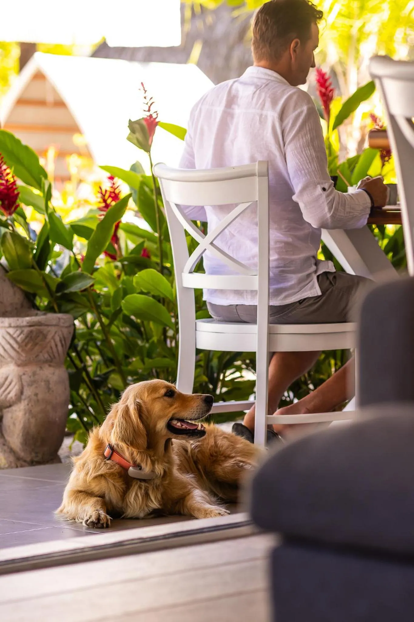 Dining area in Les Voiles Blanches - Luxury Lodge