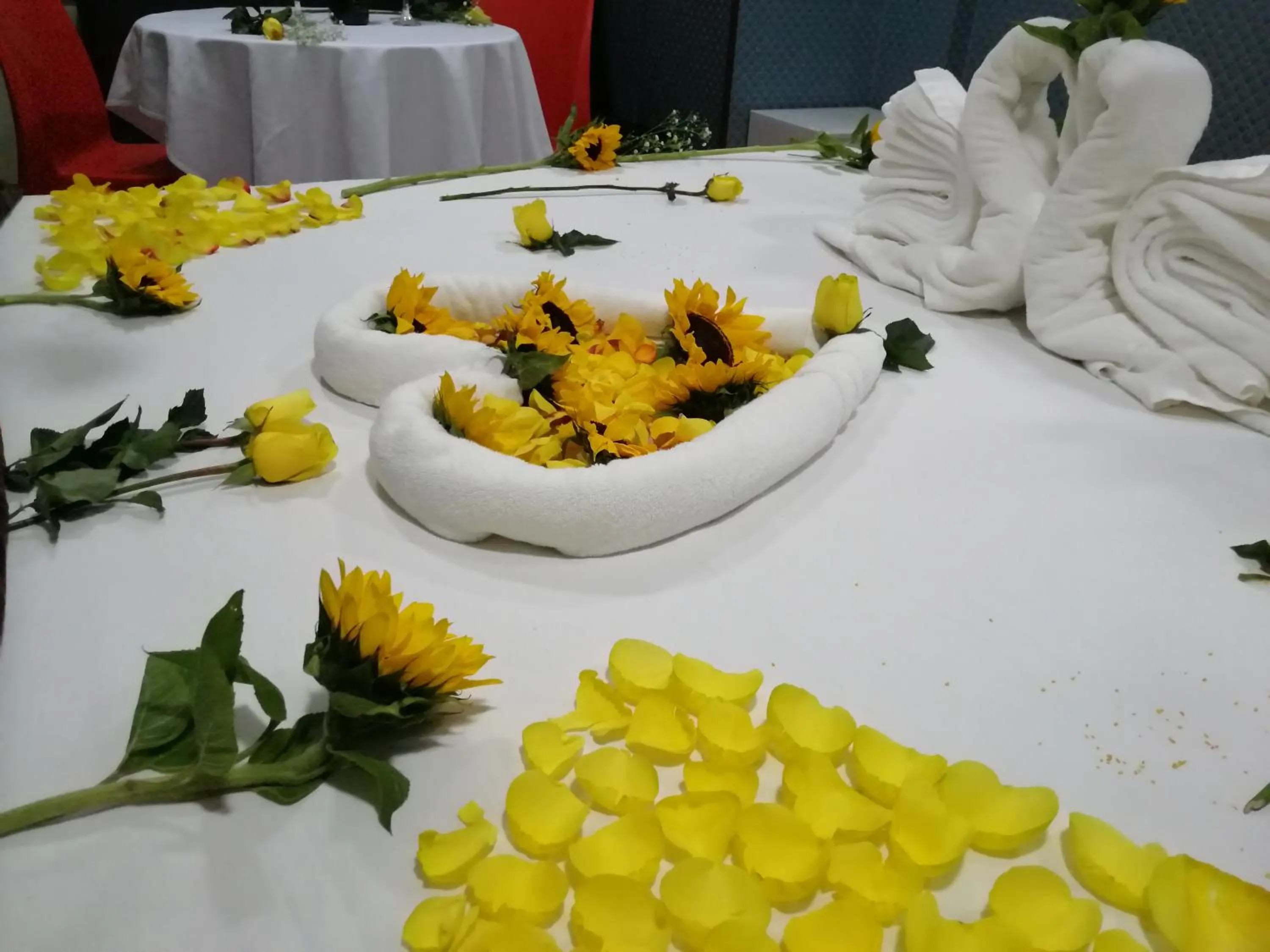 Decorative detail in Hotel Plaza Muisca