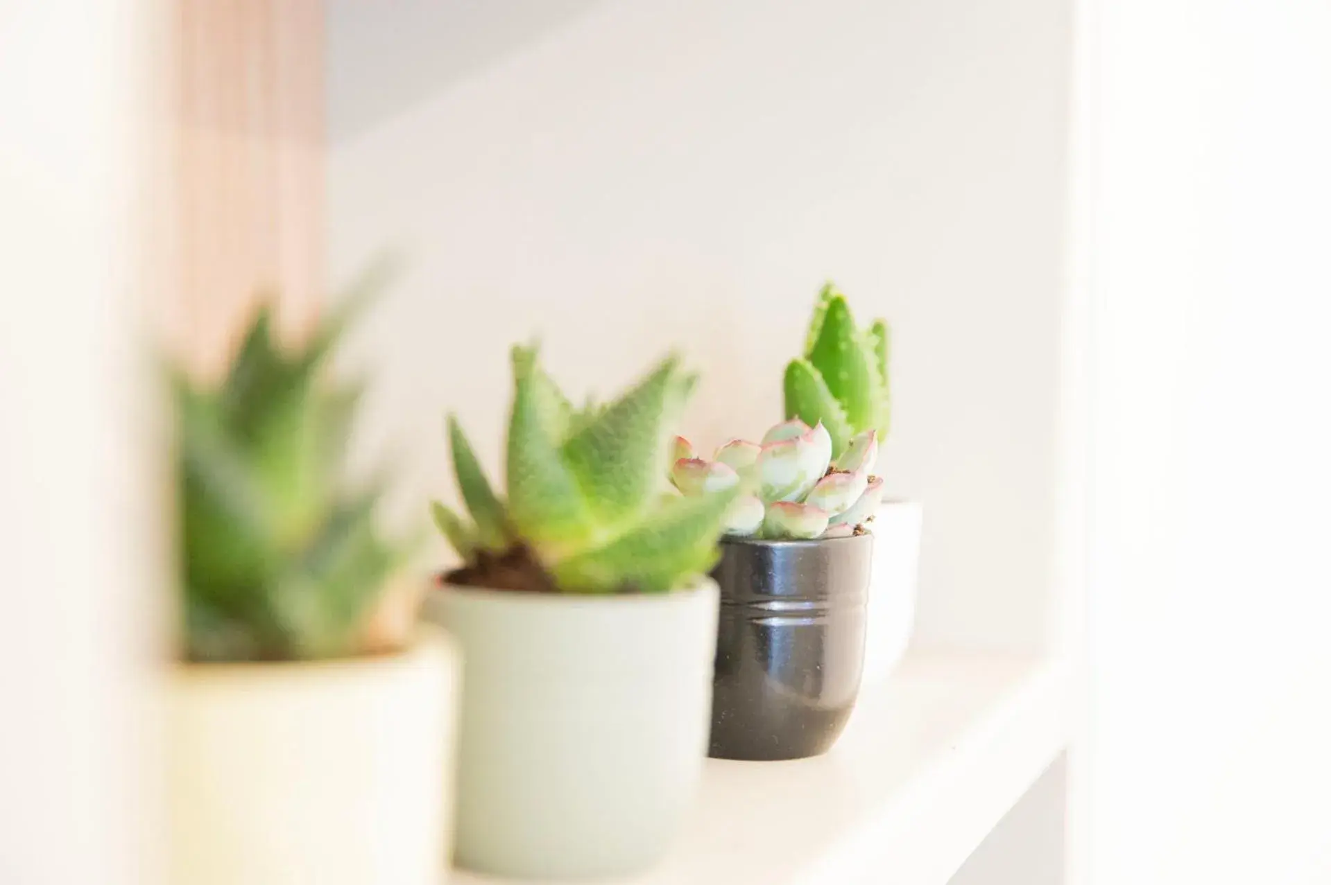 Lobby or reception in imperium suite trevi Lobby or reception in imperium suite trevi