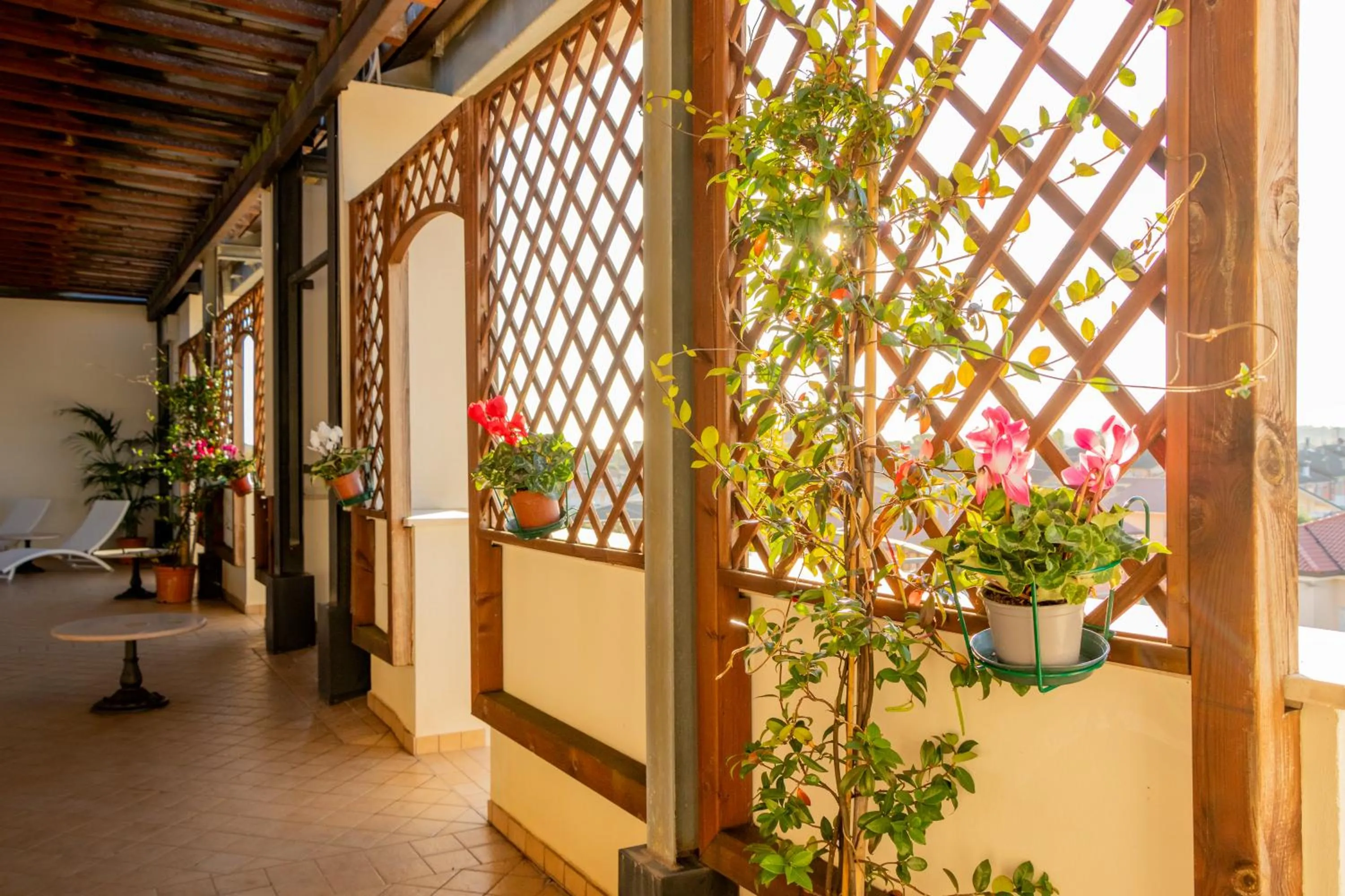 Balcony/Terrace in Hotel San Clemente