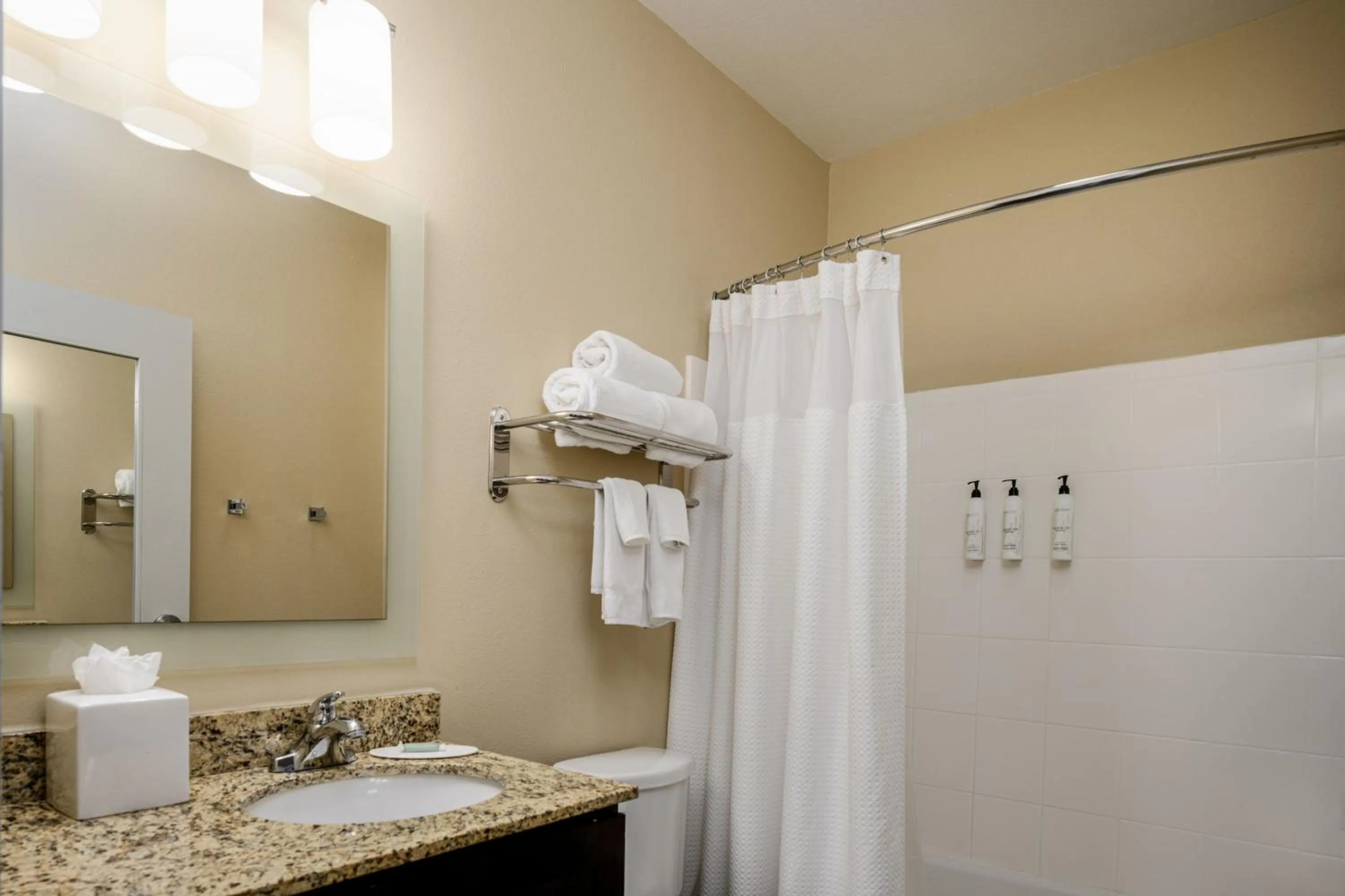 Bathroom in TownePlace Suites by Marriott Houston Galleria Area