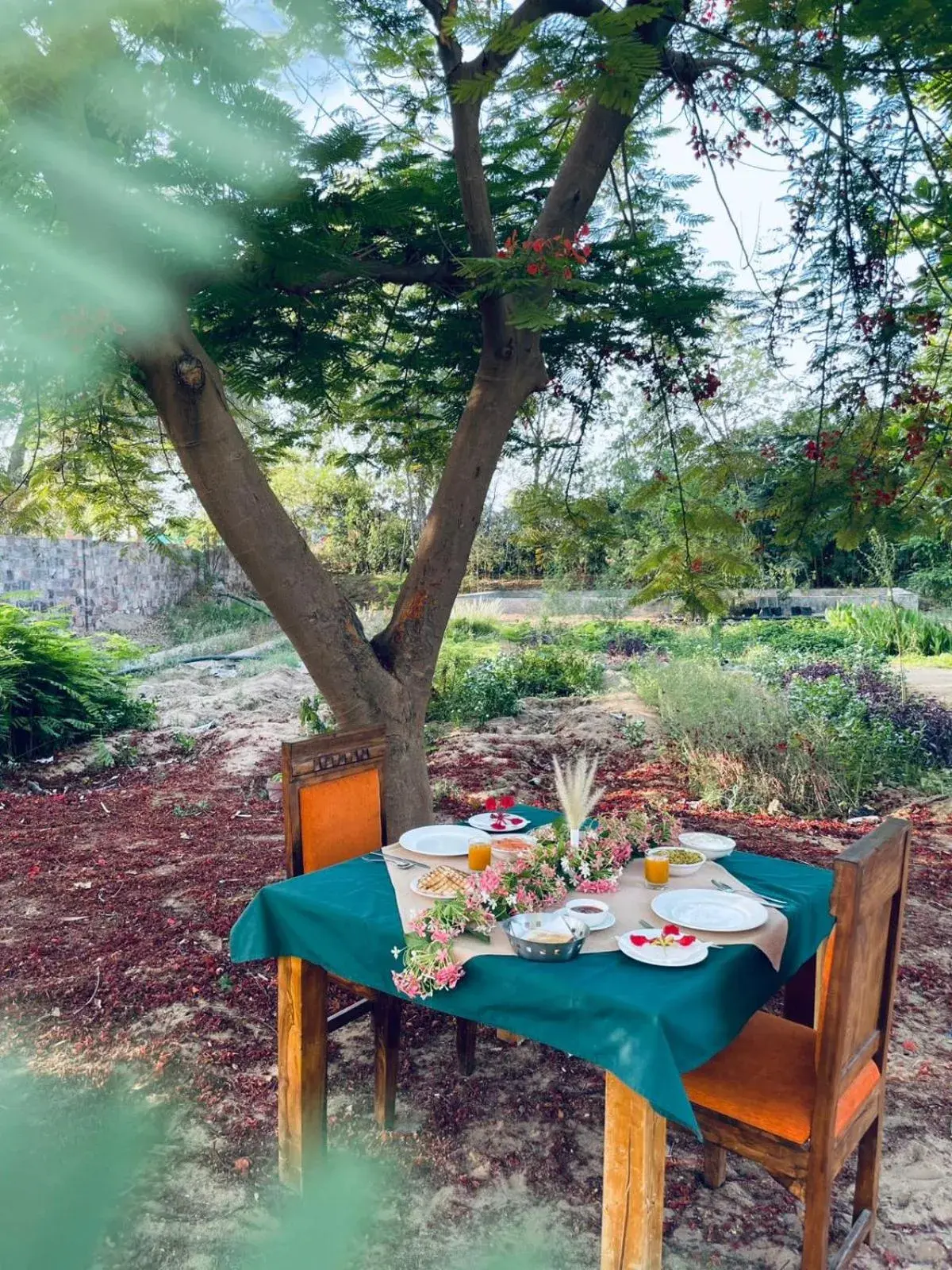 Restaurant/places to eat in Hariyali Dhani Camps & Resort Restaurant/places to eat in Hariyali Dhani Camps & Resort