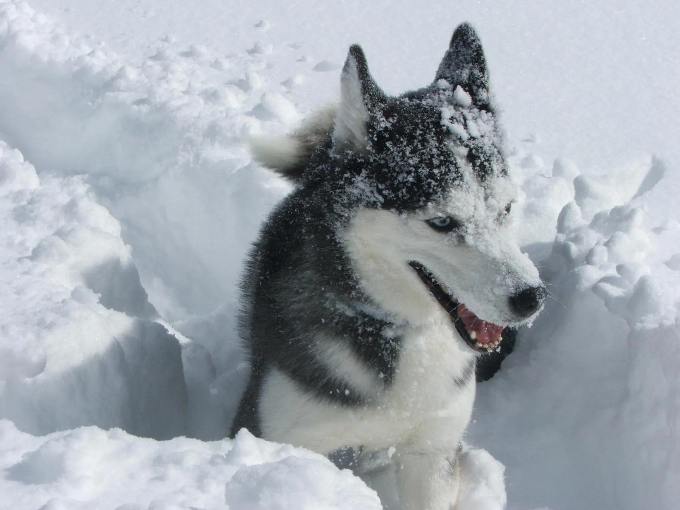 Other in Aloni Toy Kir Thanasi Hotel & Spa