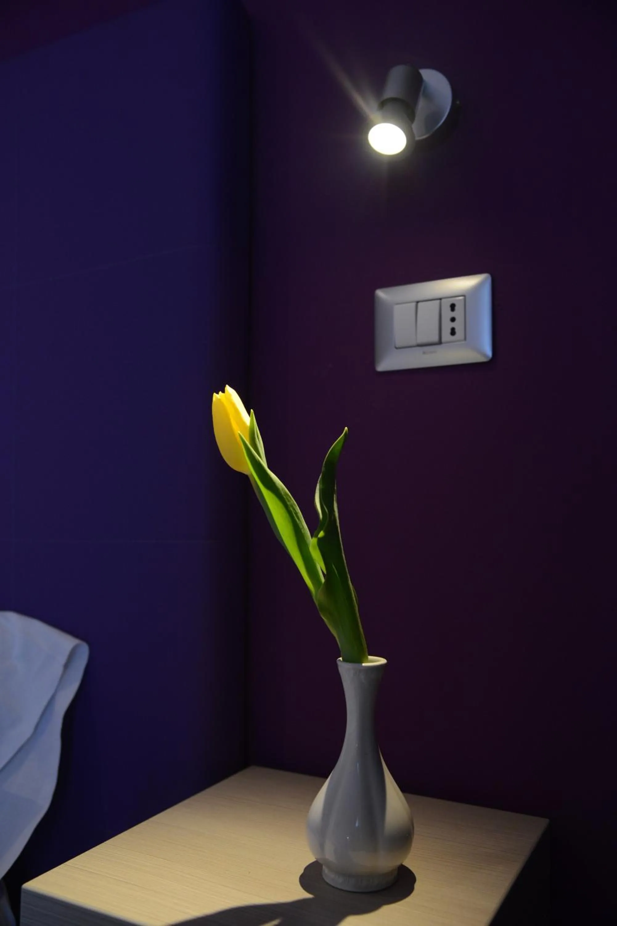 Decorative detail in Hotel Nuova Orchidea