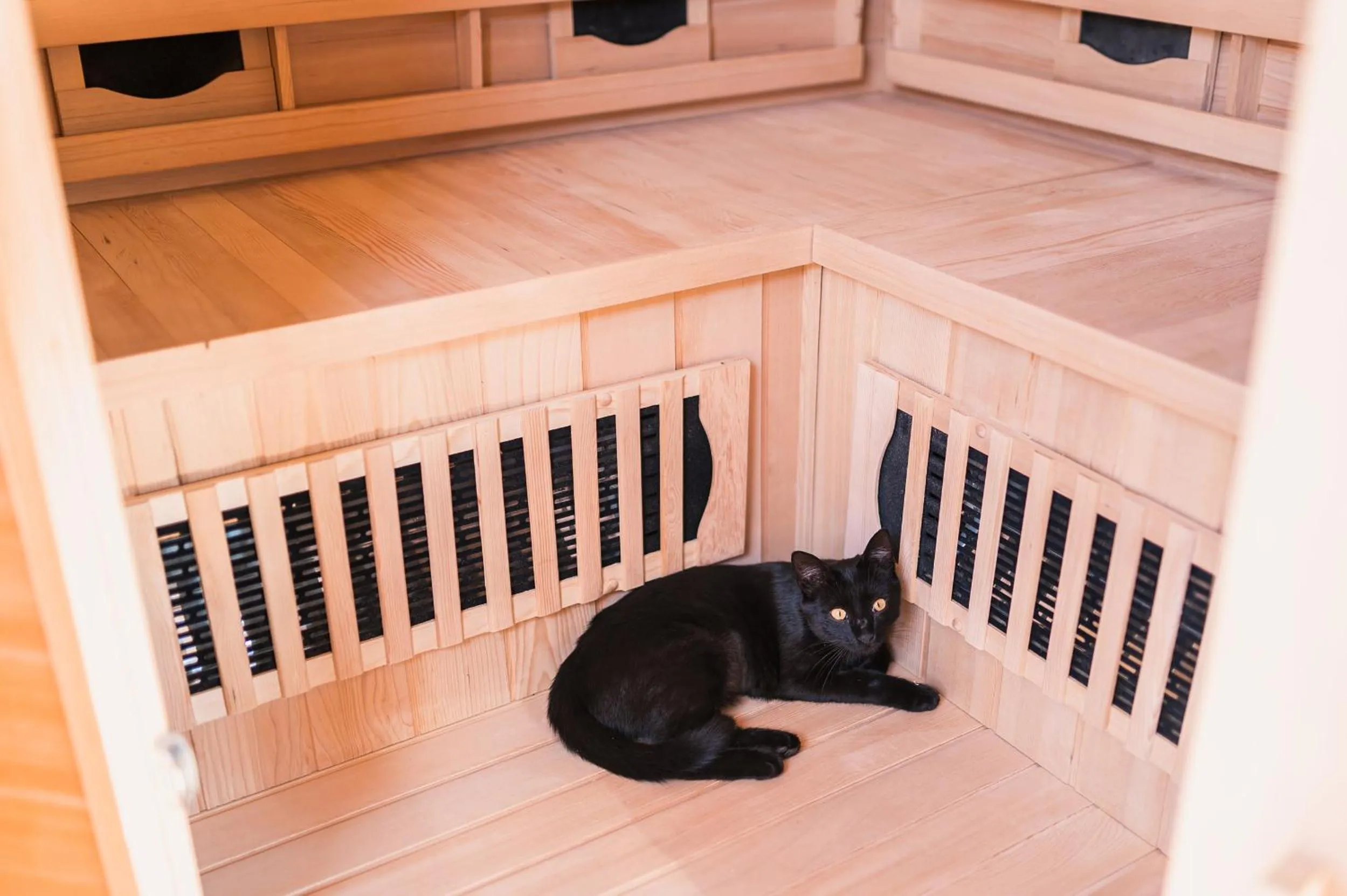 Pets in Pod Chmielarzem