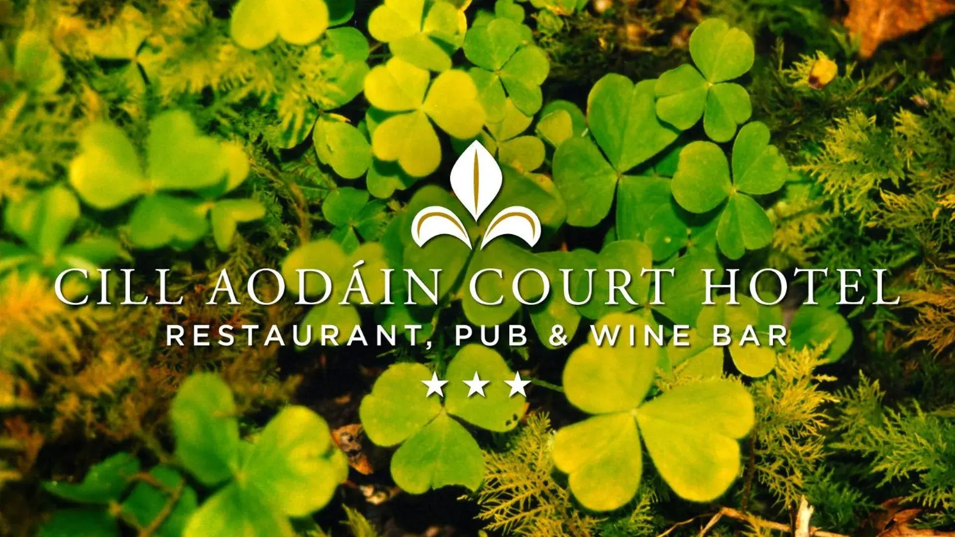 Deluxe Double Room in Cill Aodain Court Hotel Deluxe Double Room in Cill Aodain Court Hotel