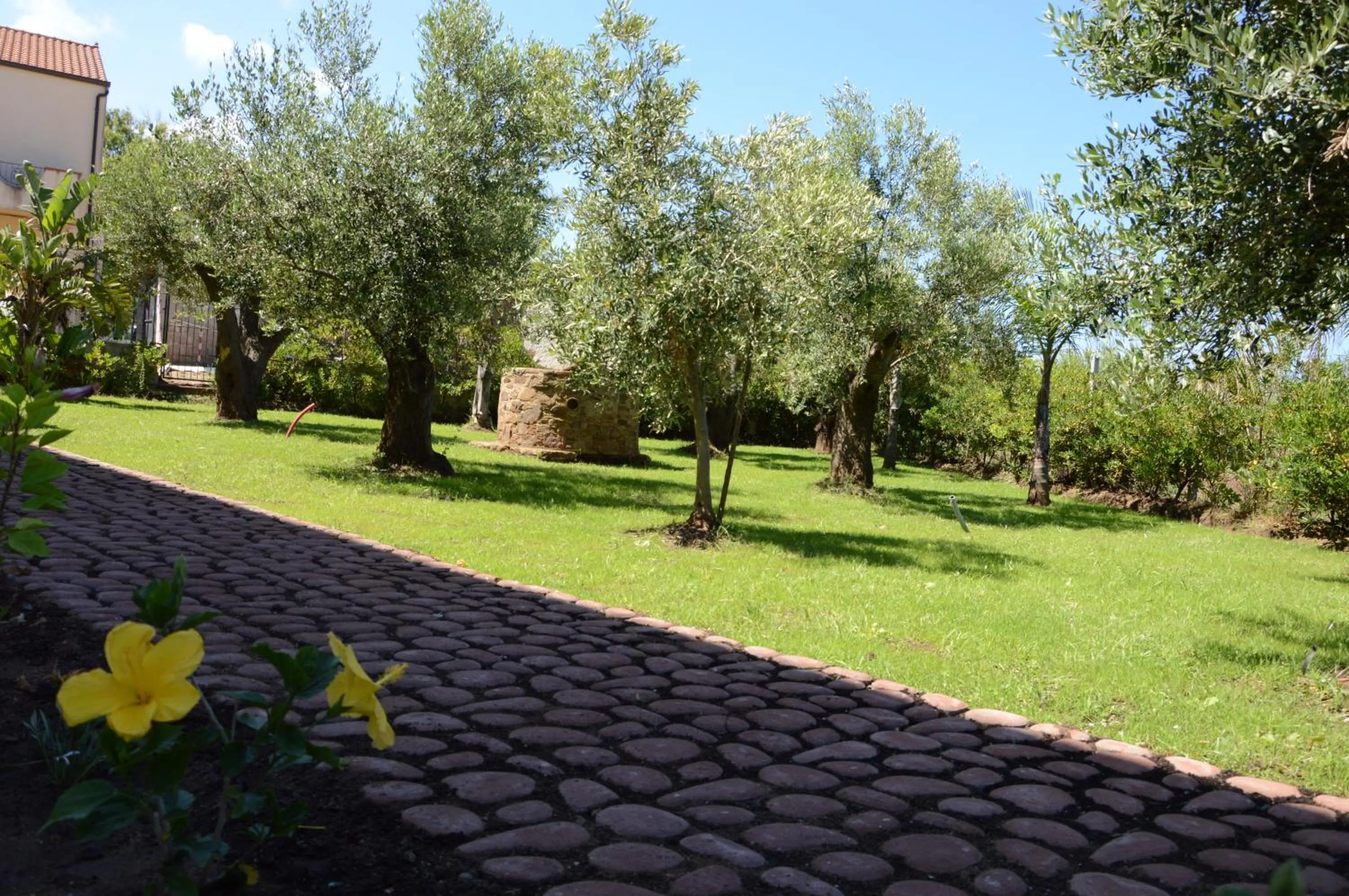 Day in Villa D'Aquino